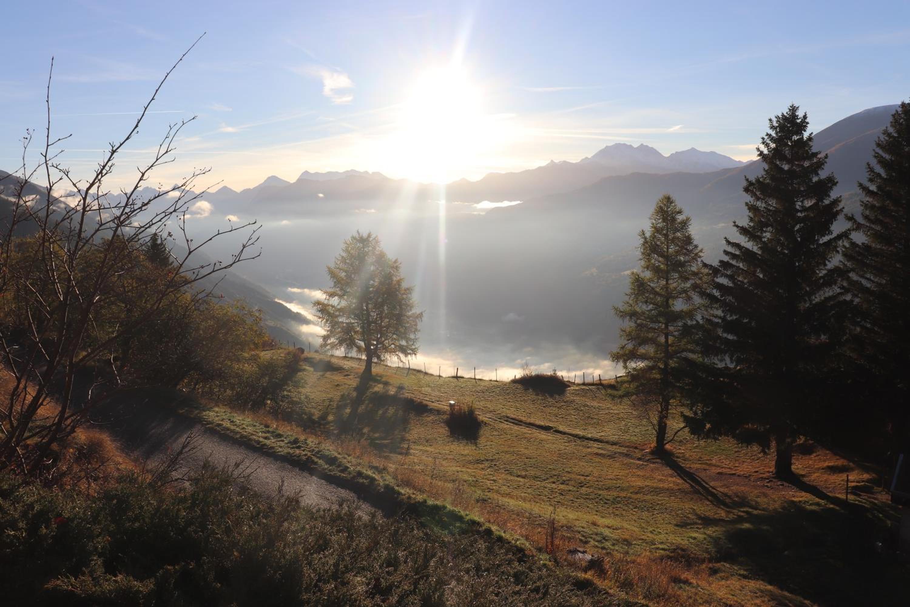 Alpenparadies