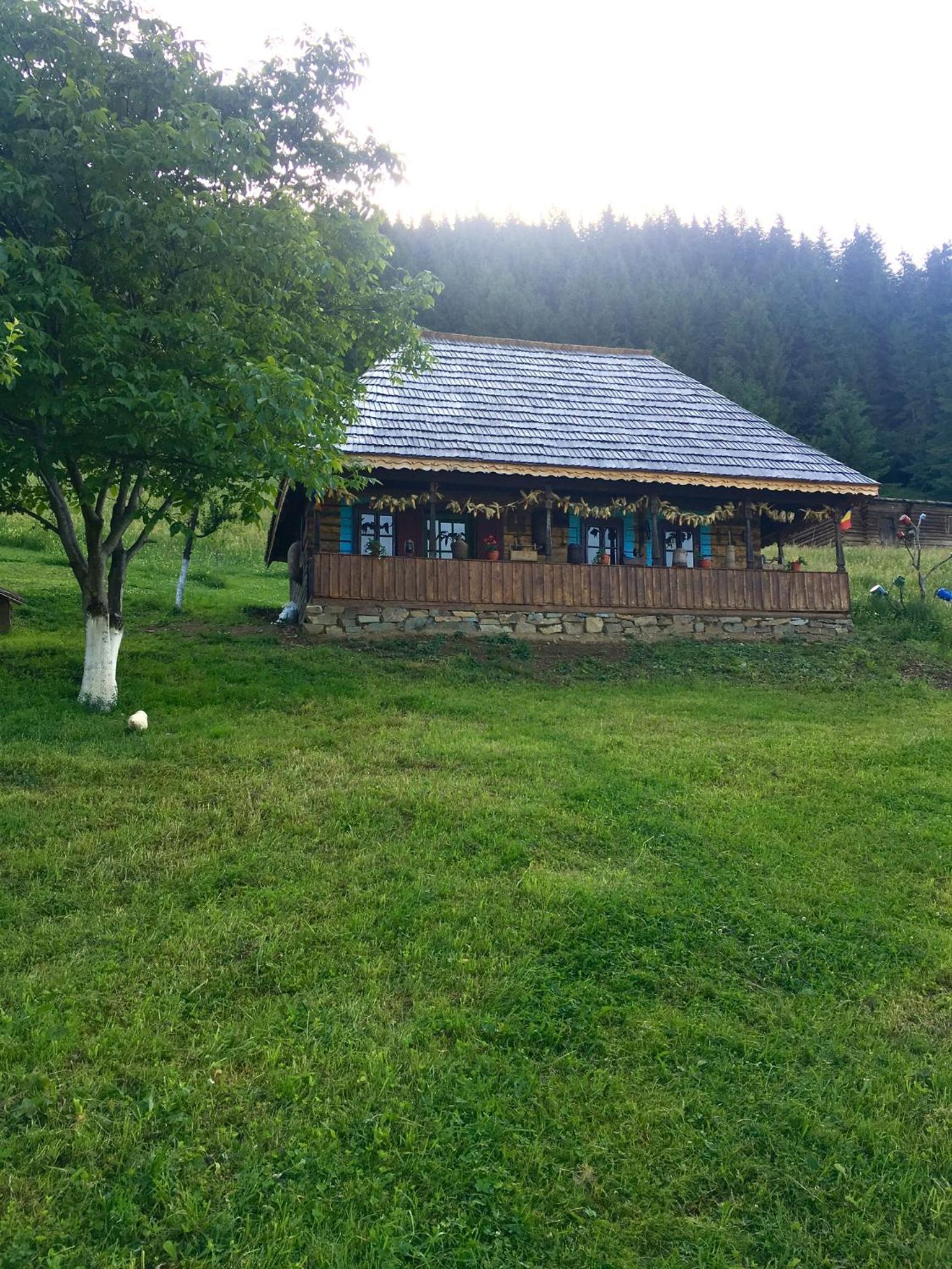 Photo 47