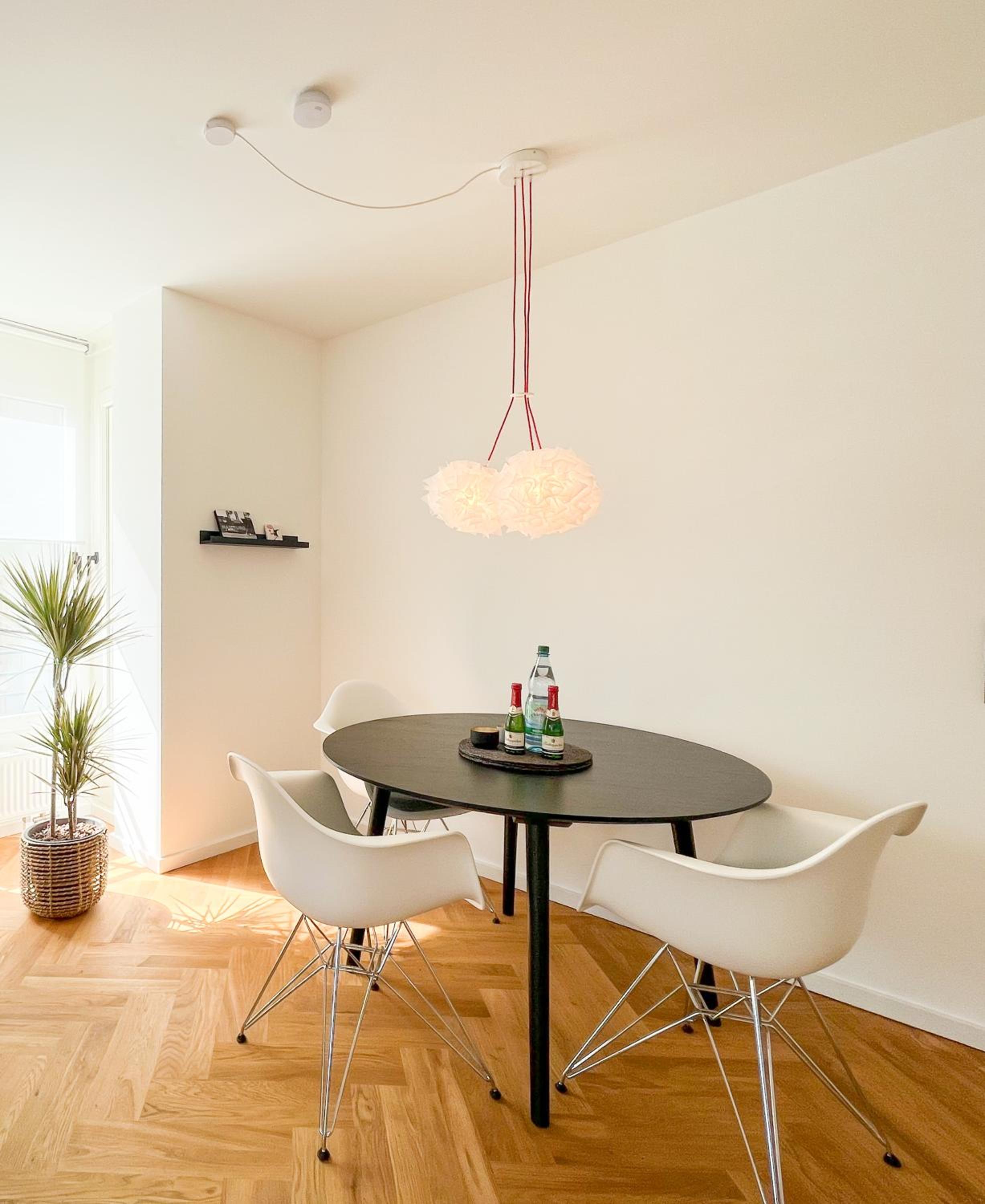 Dresden Vacations - WohnperleElbOaseeinzigartighochwertigruhig - Property Image 17