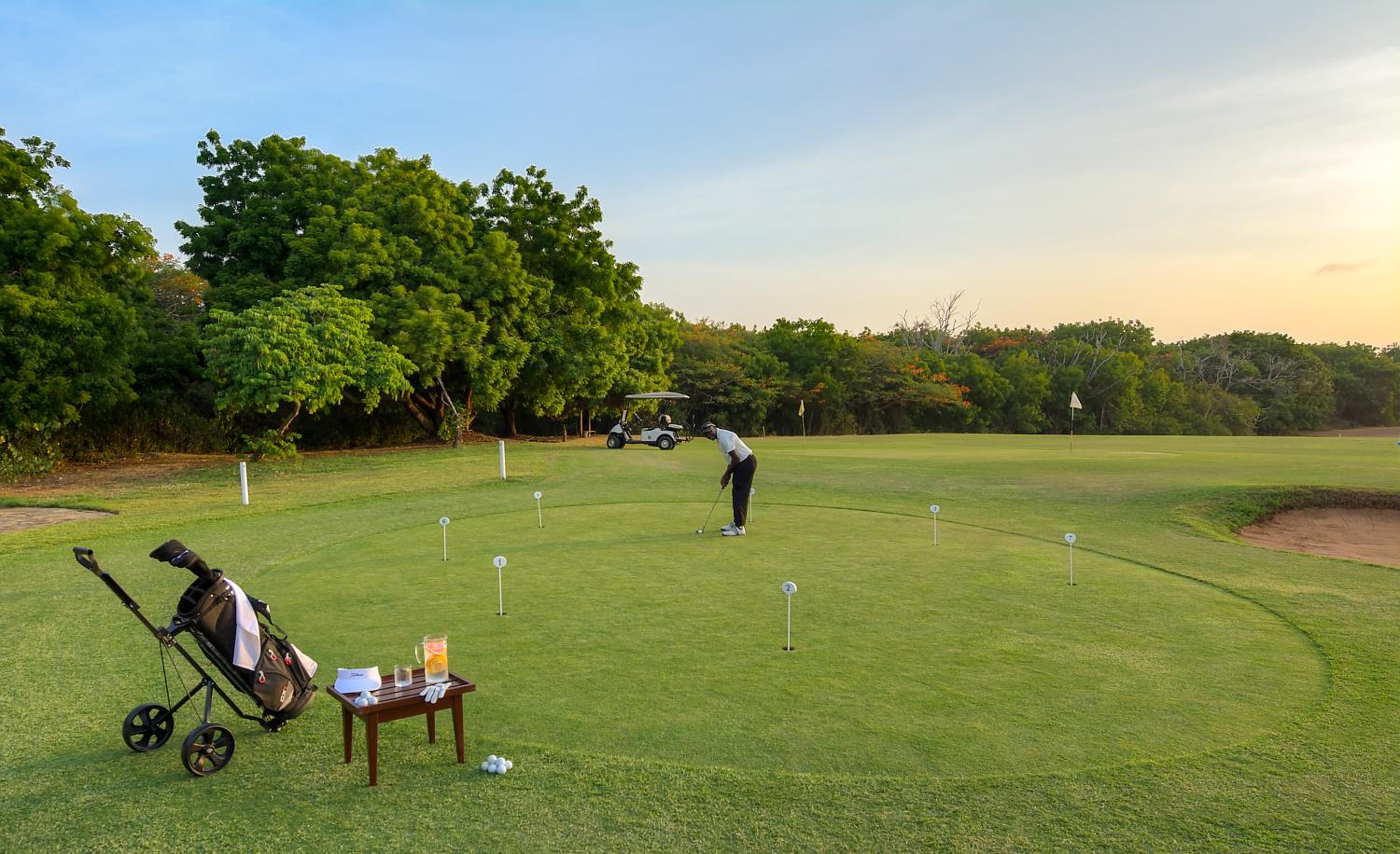Photo 81