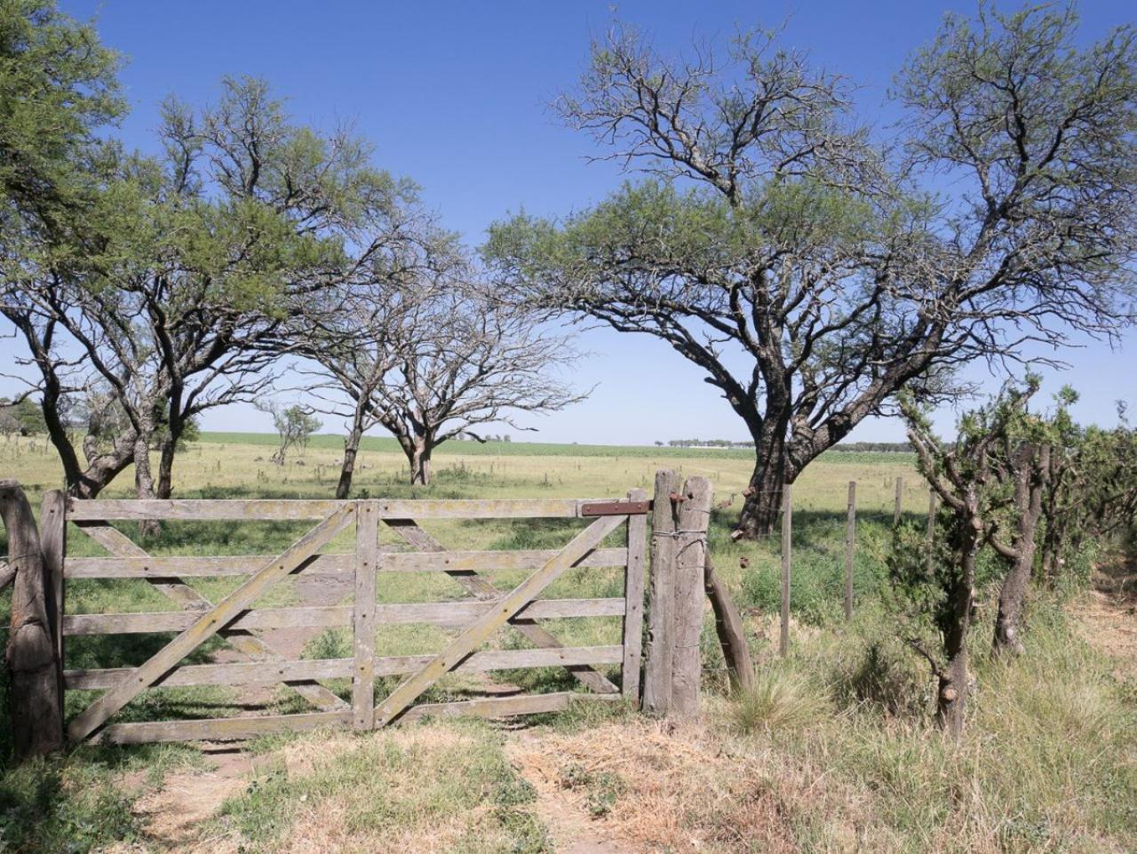 Pampa Cottage