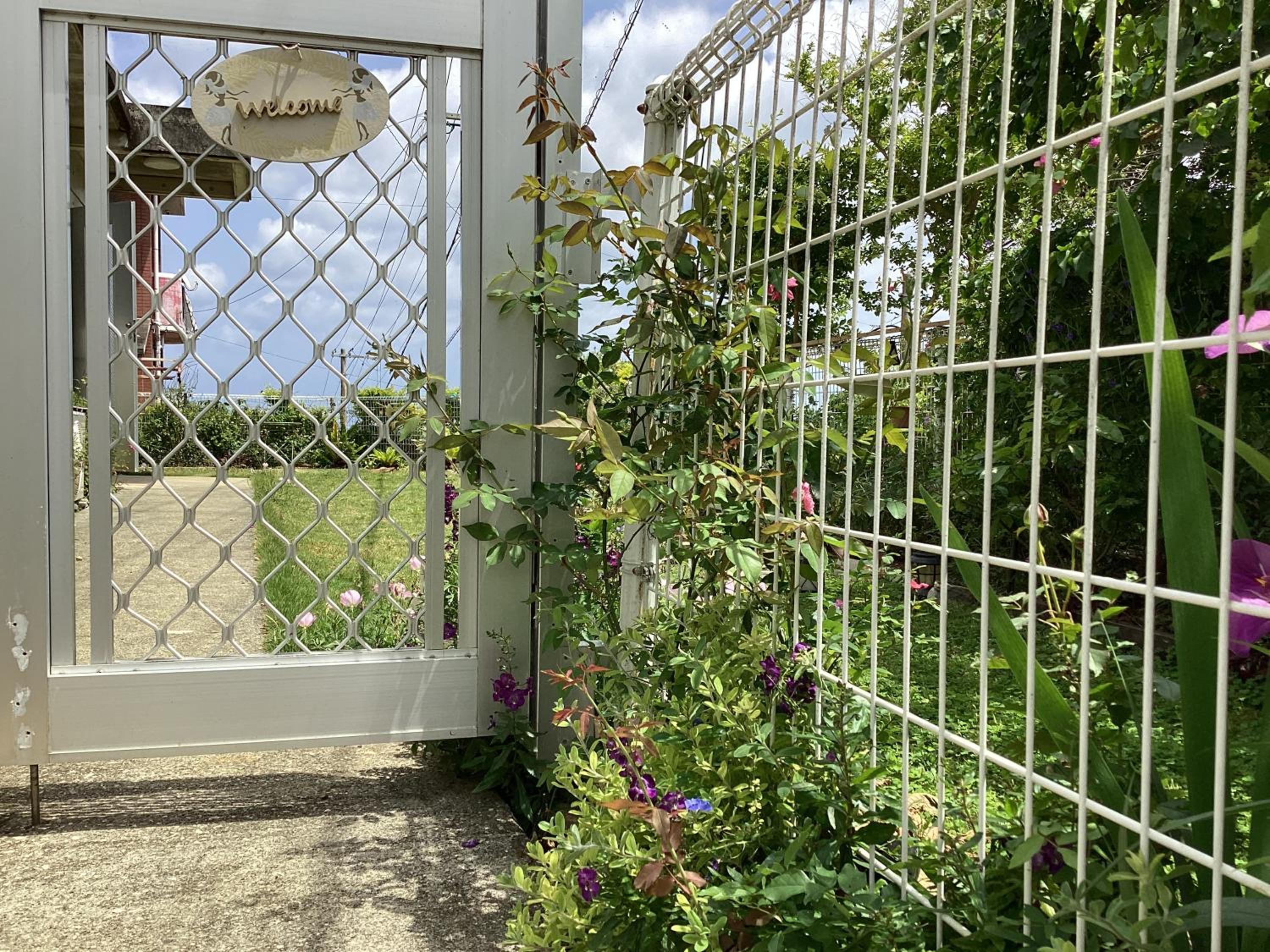 Photo 43
