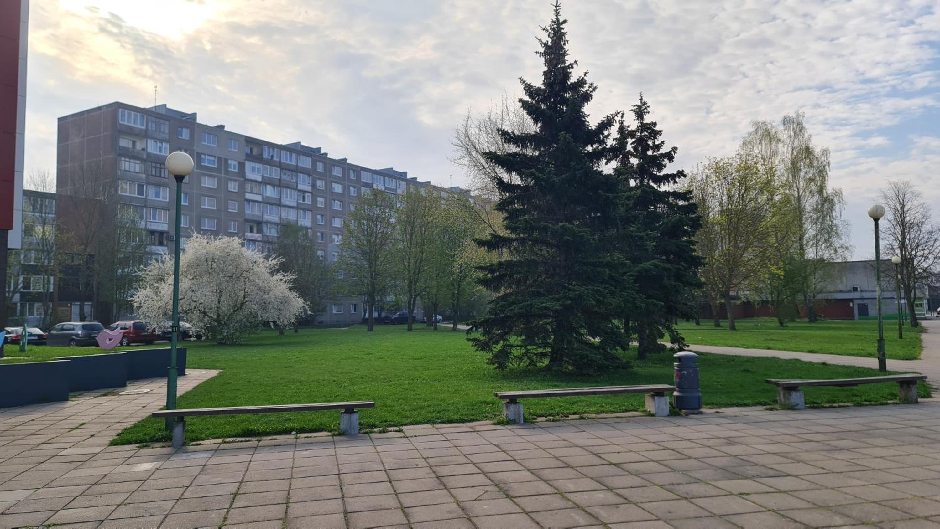 Photo 19
