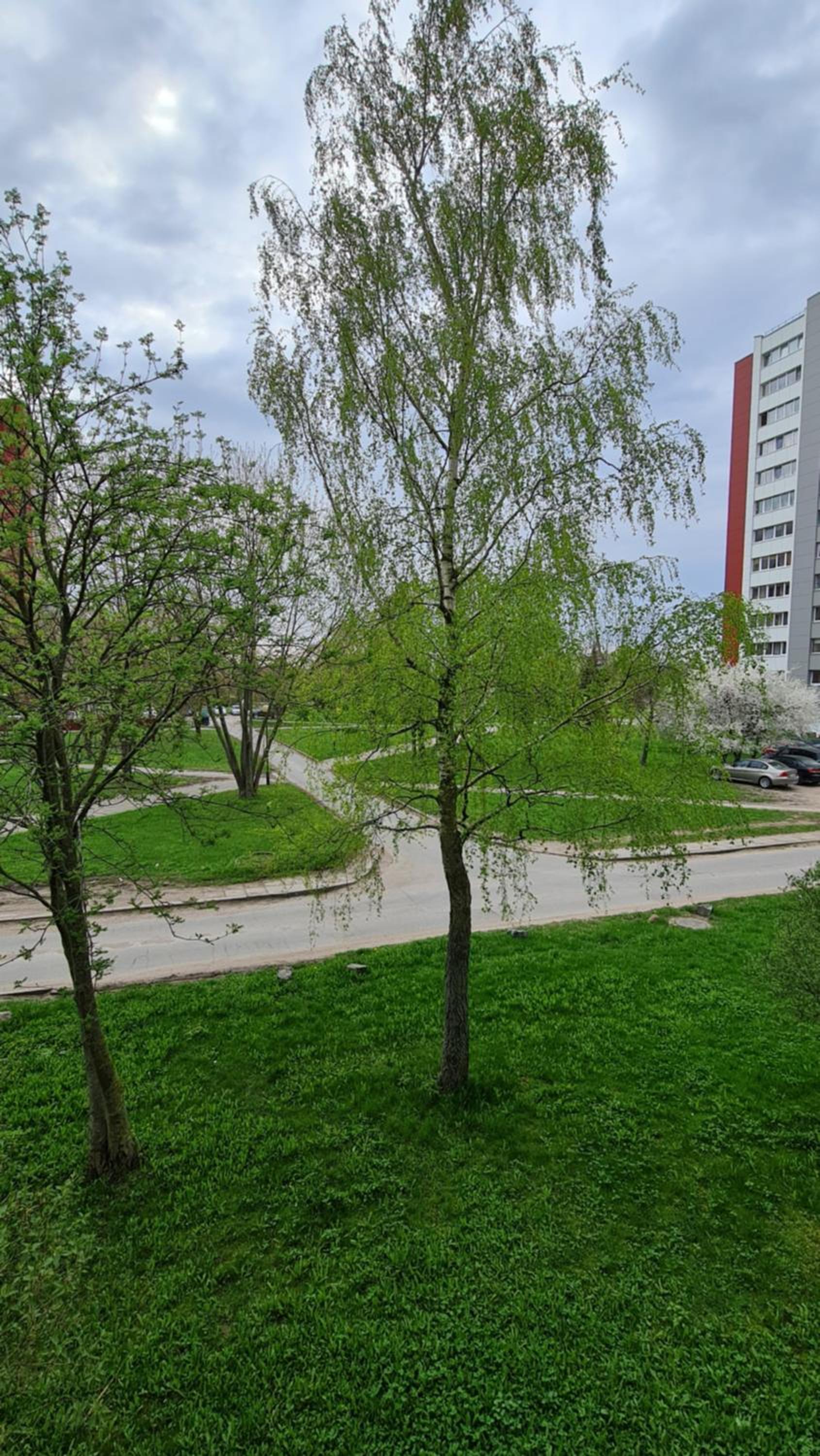 Jaukūs namai-Home Sweet Home view 4