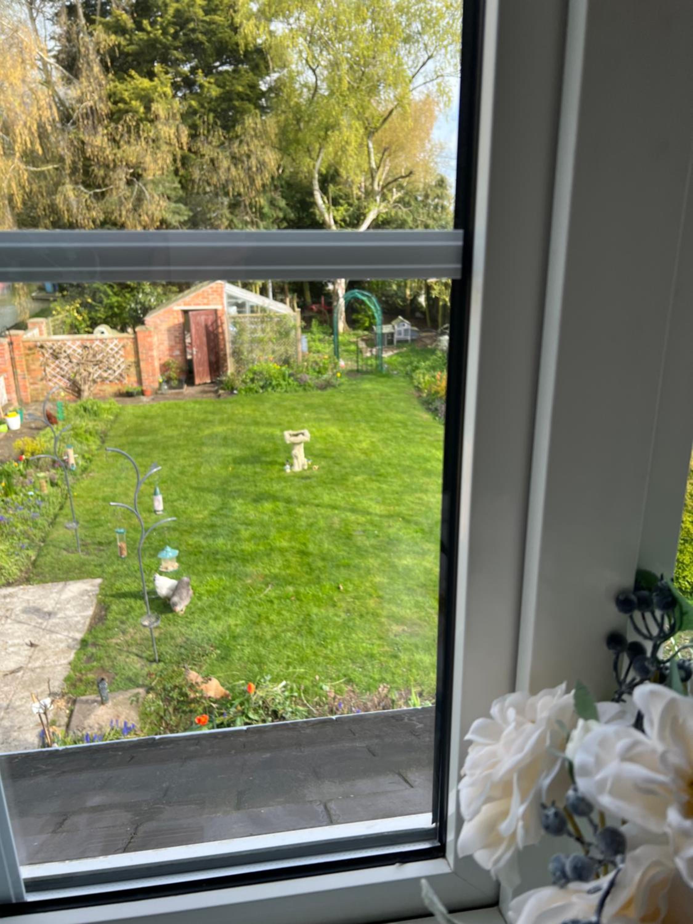 Photo 21
