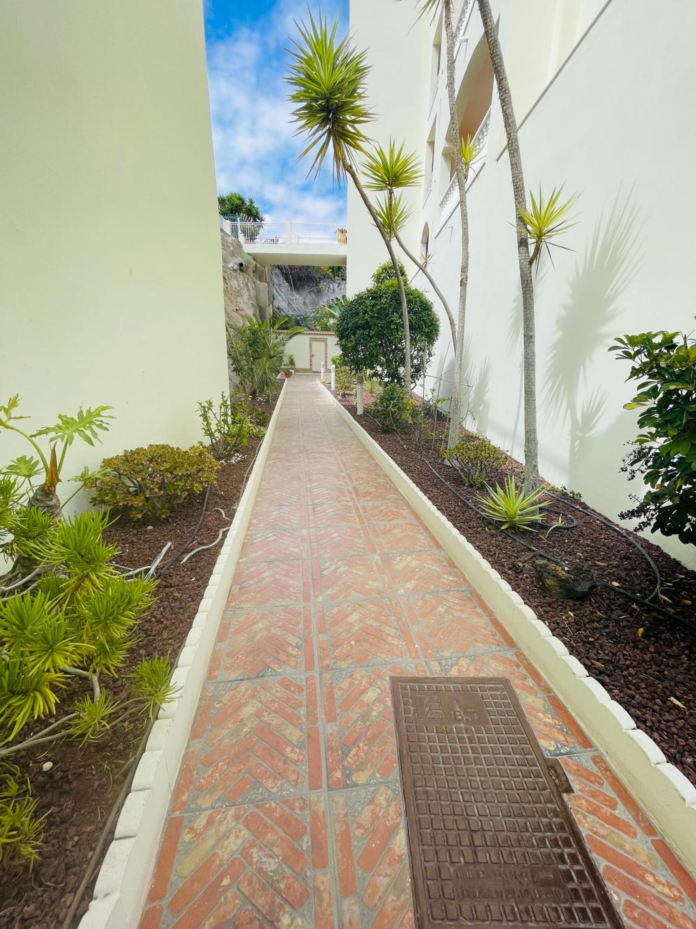 Mona's Point Tenerife