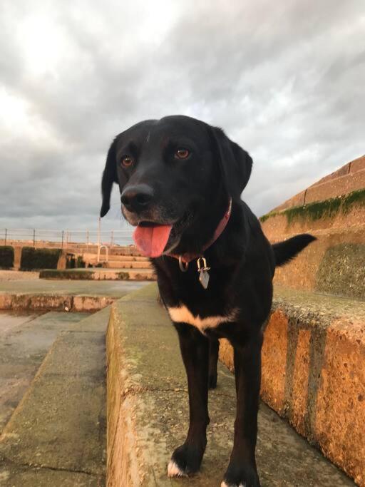 Harbour Walk