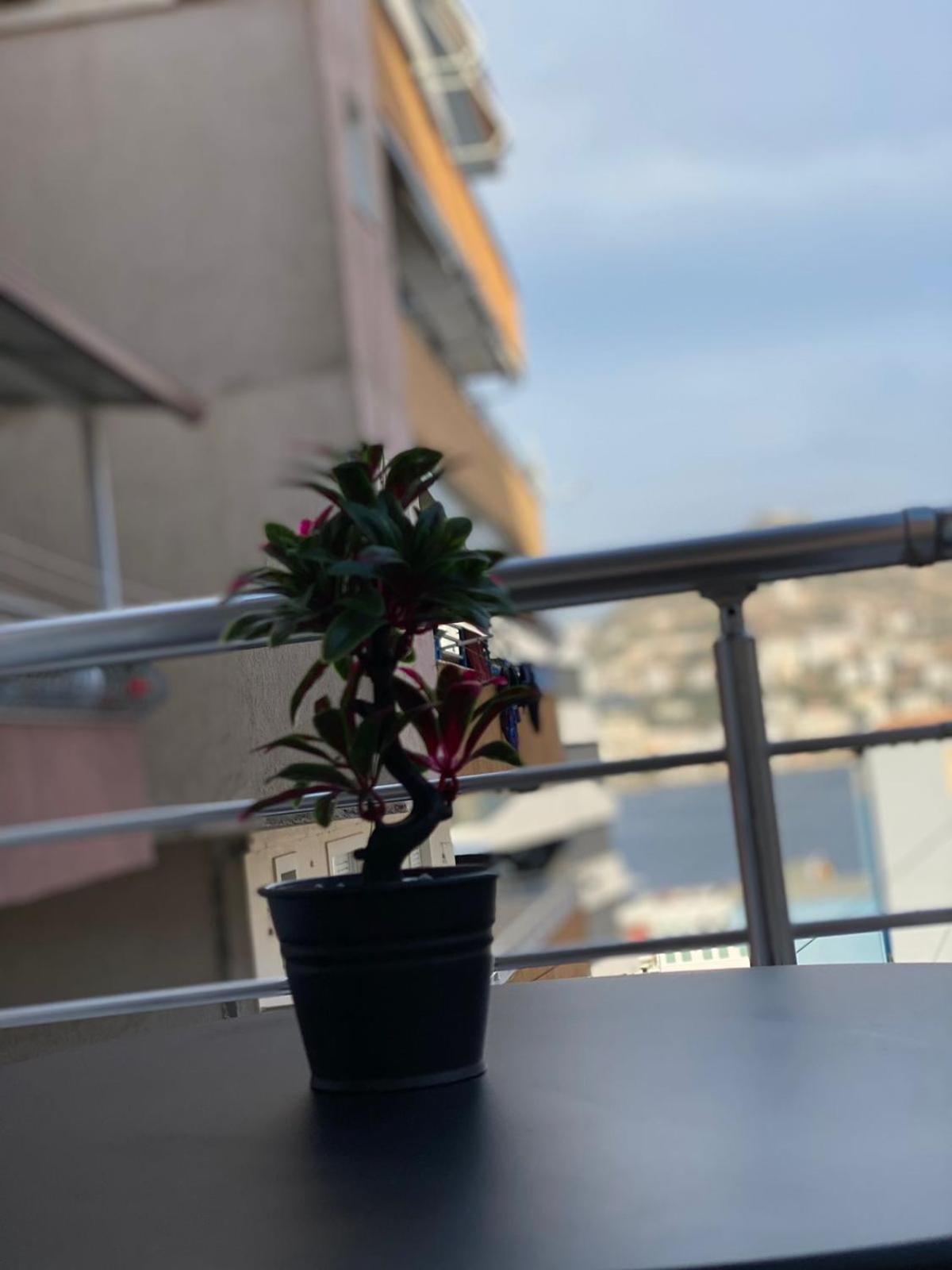 Andra Apartment
