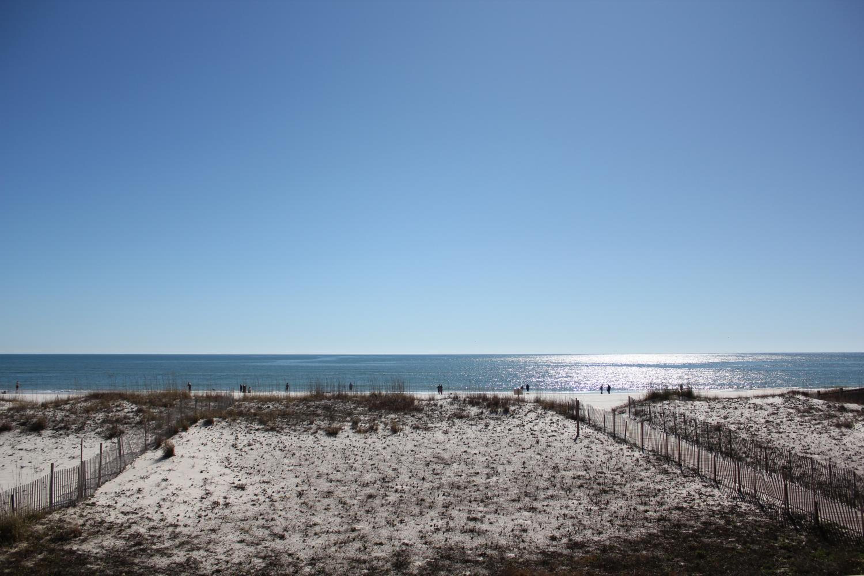 Tropic Isles 101 by ALBVR - Beautiful Beachfront Condo - Completely renovated since Sally view 5