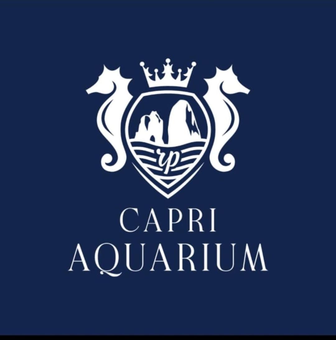 Capri Aquarium Family