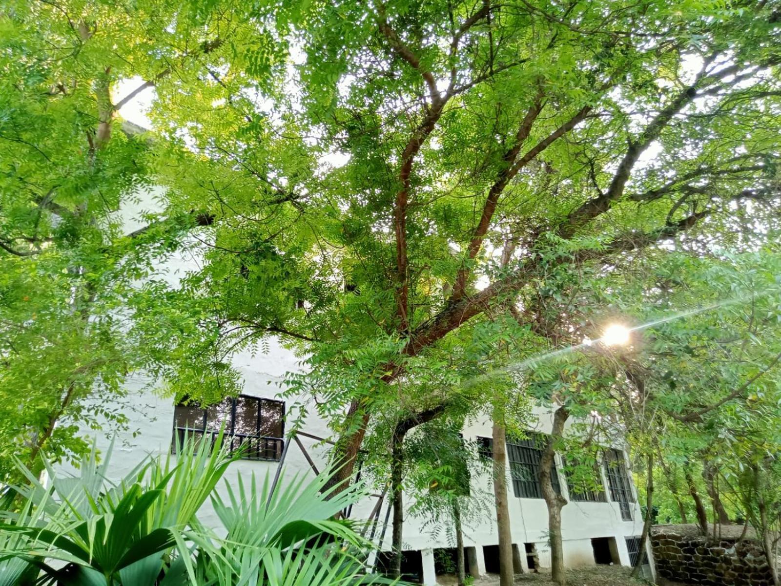 Casa Entre Los Arboles +Jacuzzi +Piscina