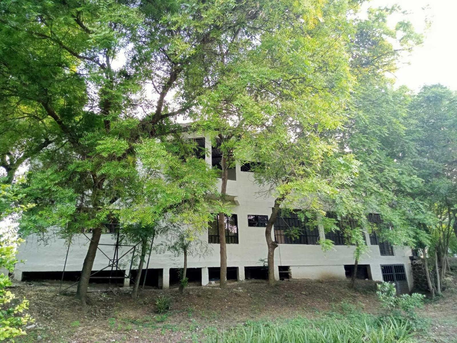 Casa Entre Los Arboles +Jacuzzi +Piscina