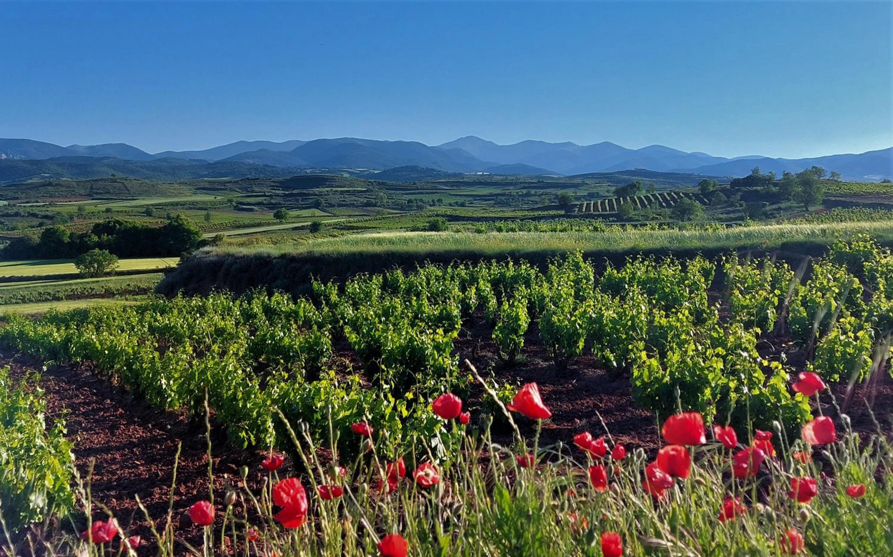 Sojuela Turismo Golf Naturaleza y VIno