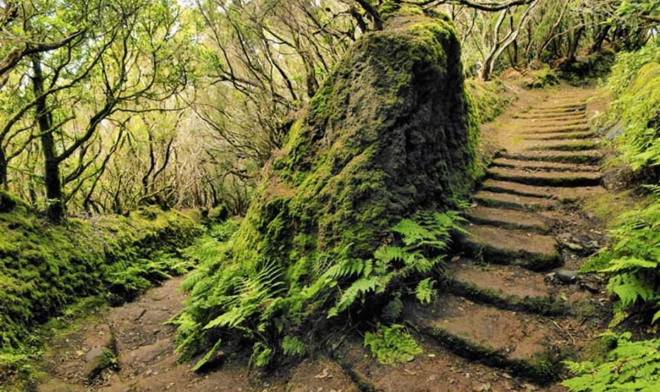 Mona's Point Tenerife