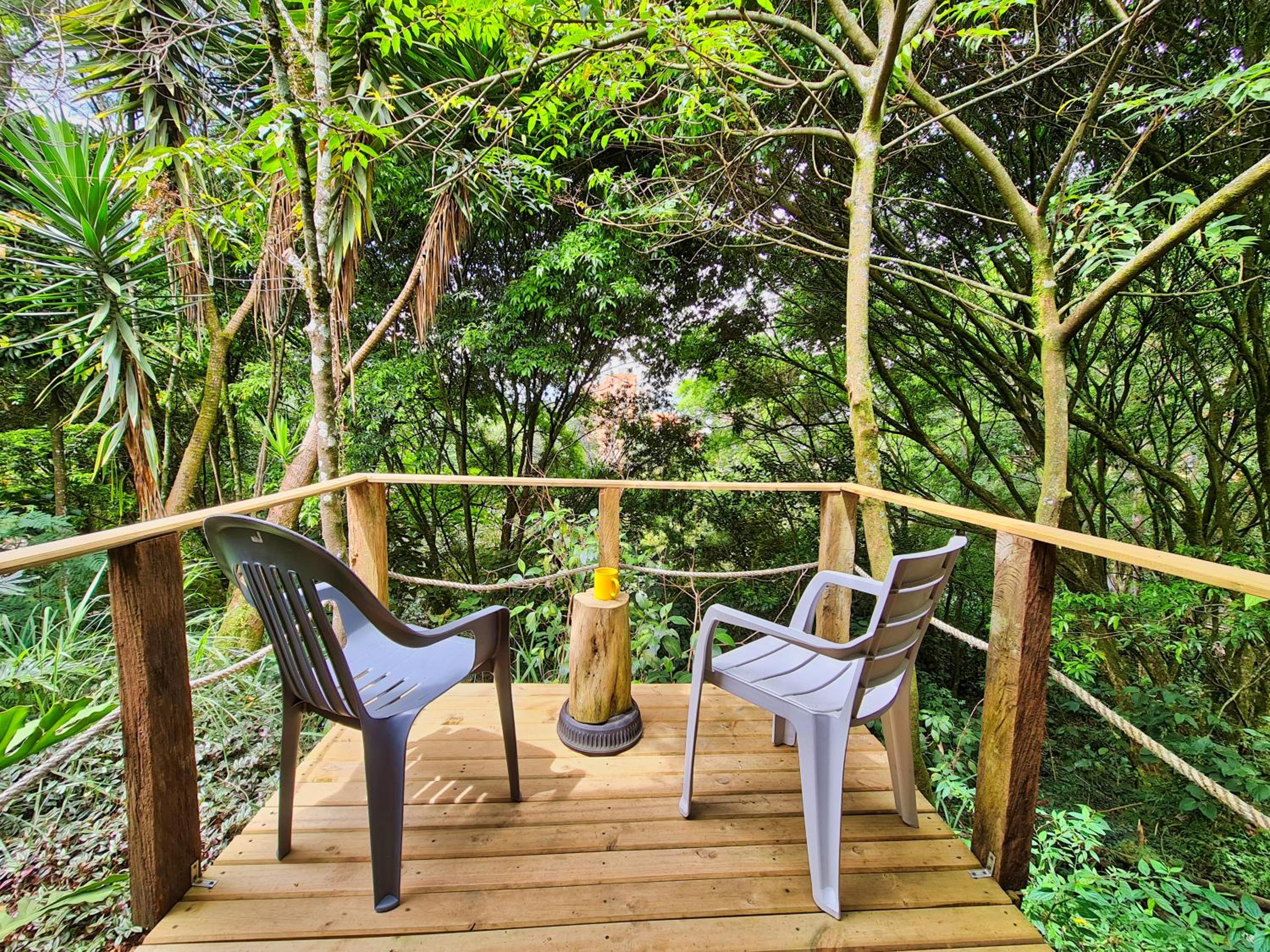 Central House in El Poblado surrounded by nature