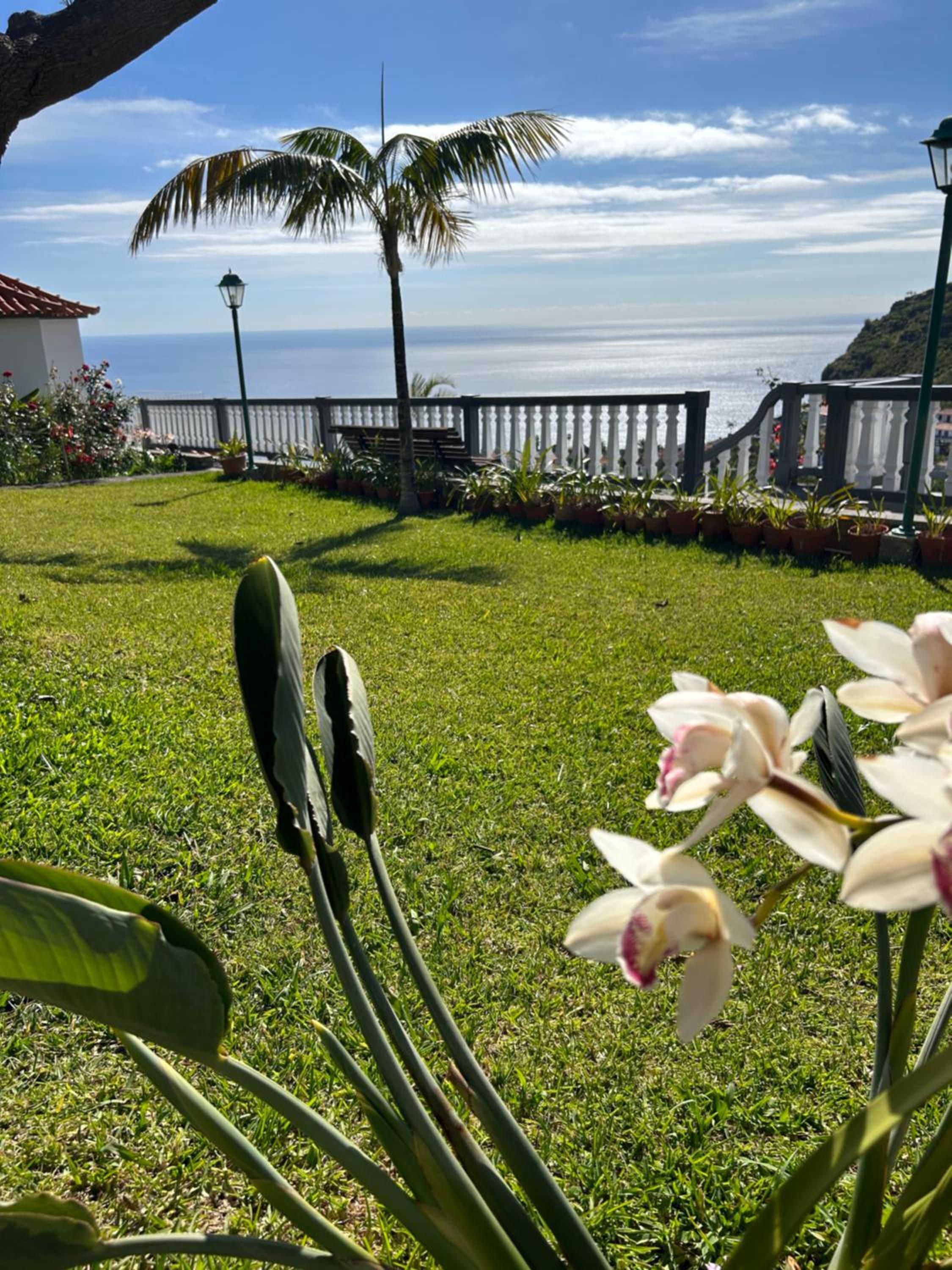 Tropical Garden