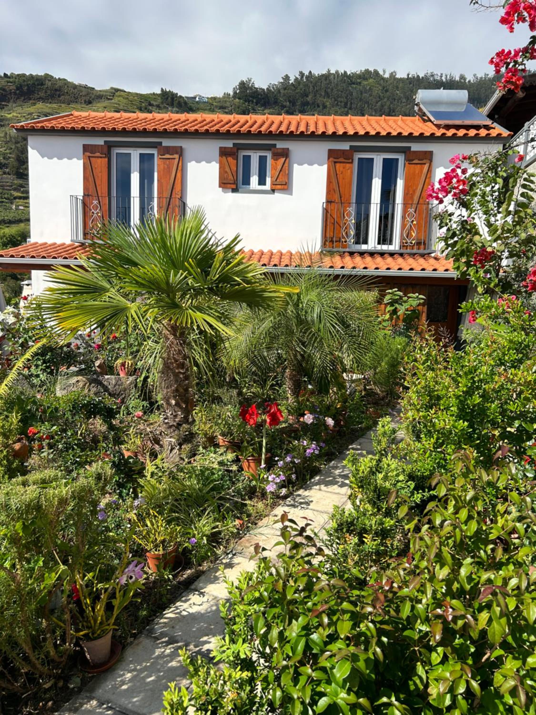 Tropical Garden