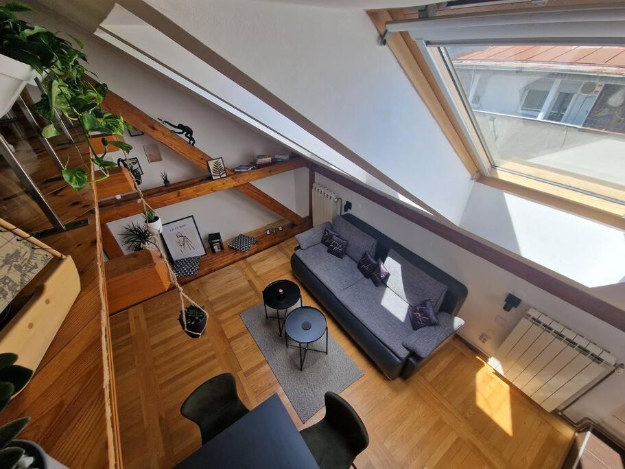 Captain Misha's place view 3