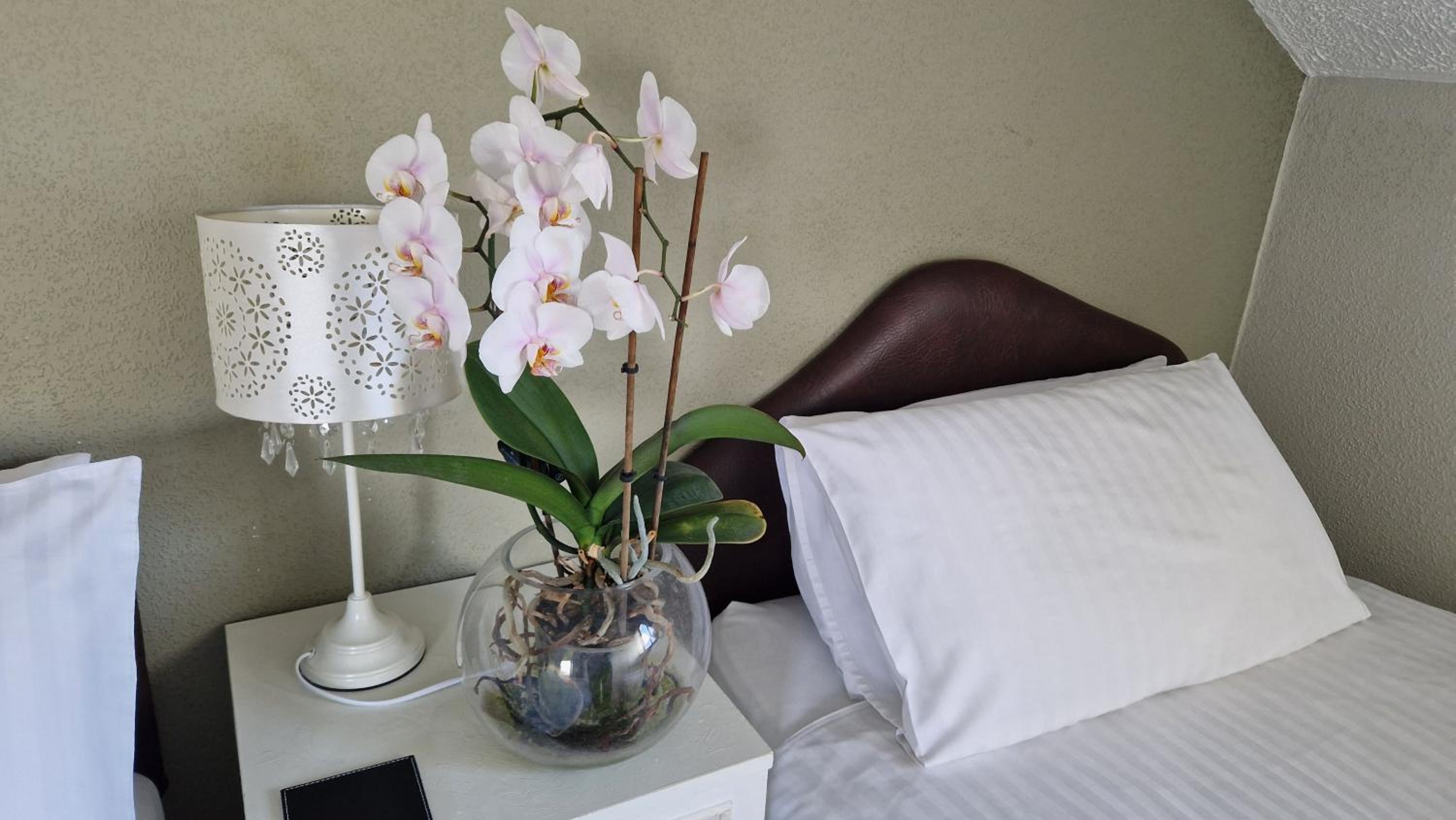 Goldenhill Guesthouse