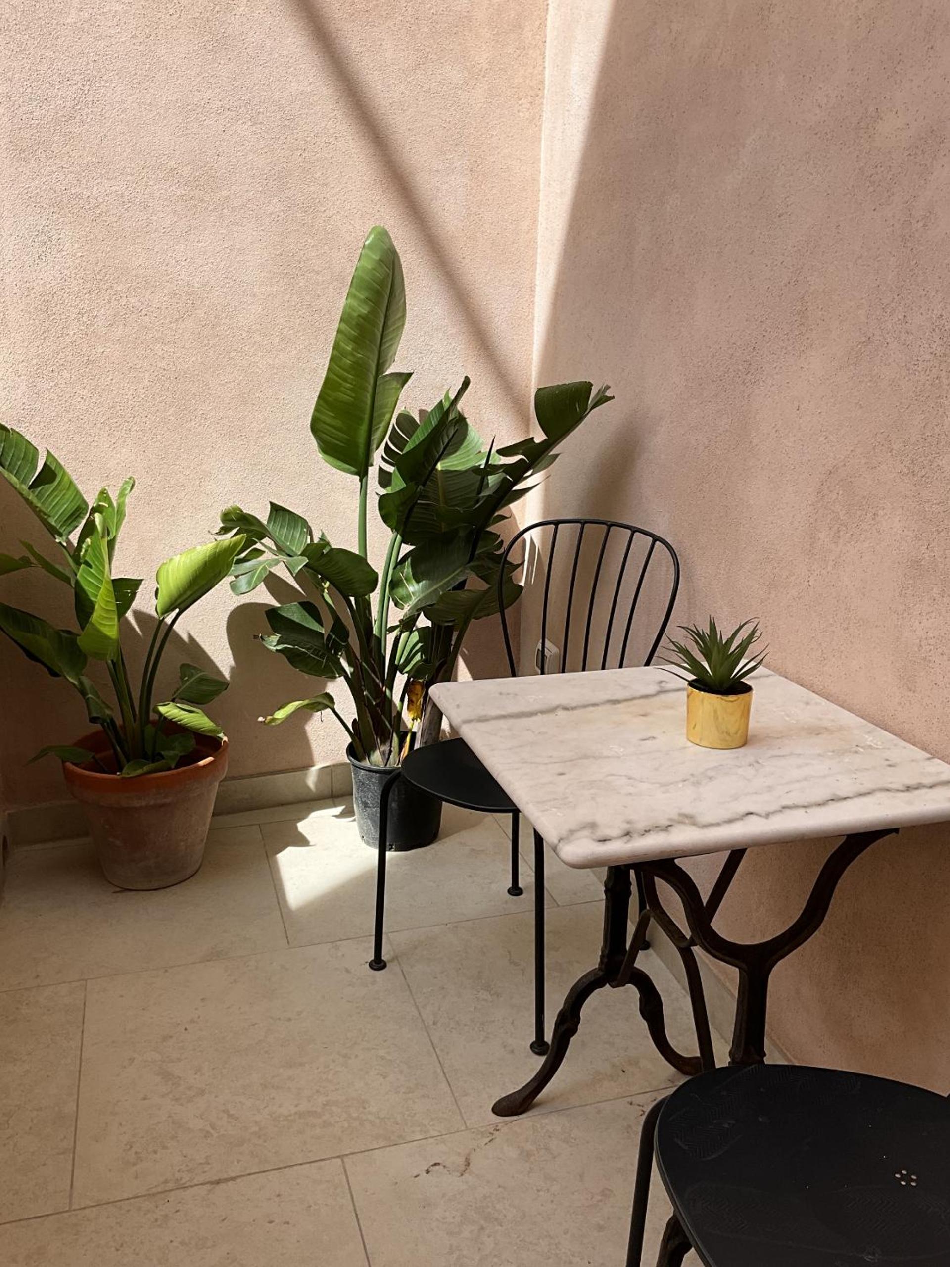 balance & terrace