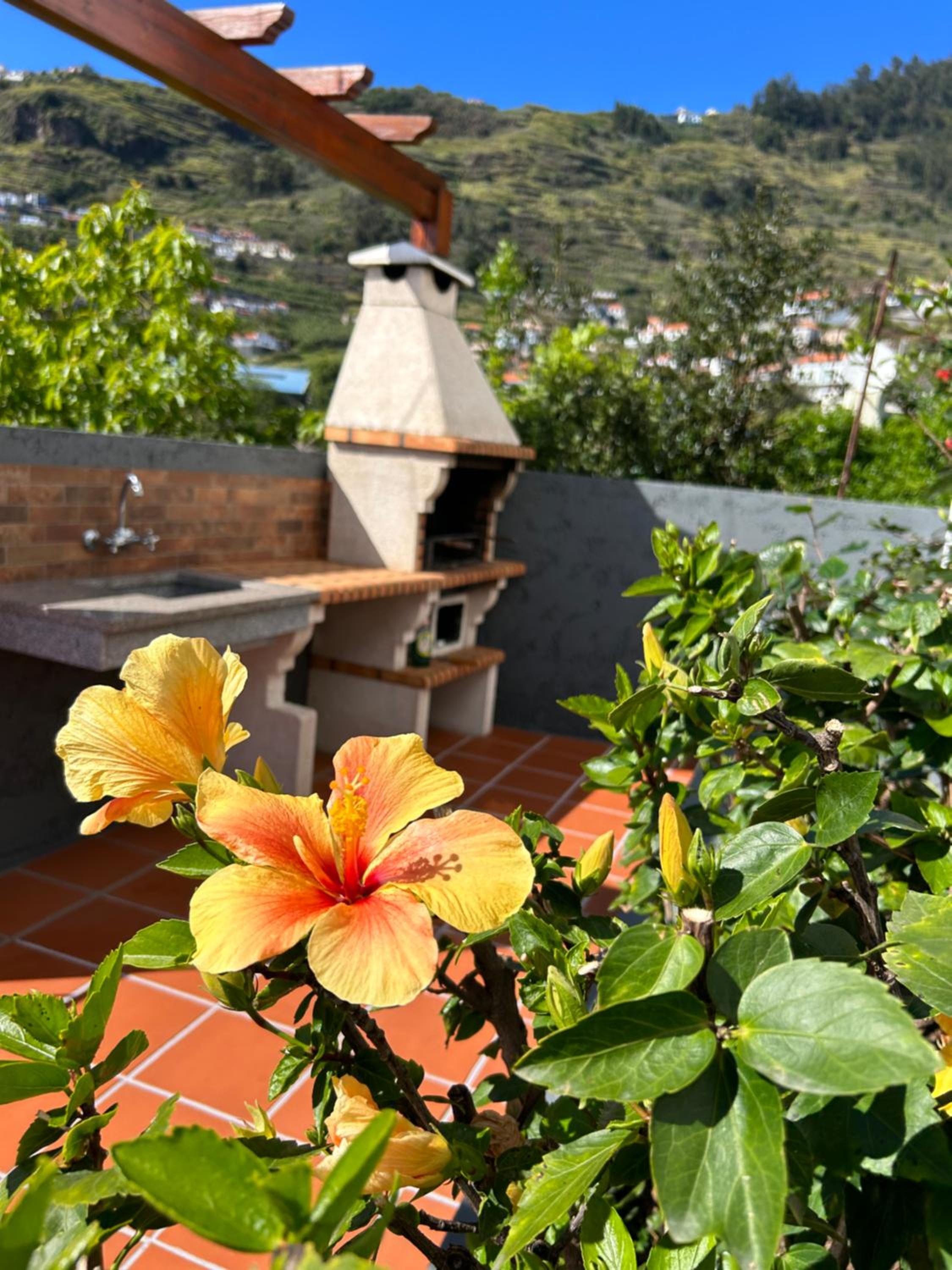 Tropical Garden