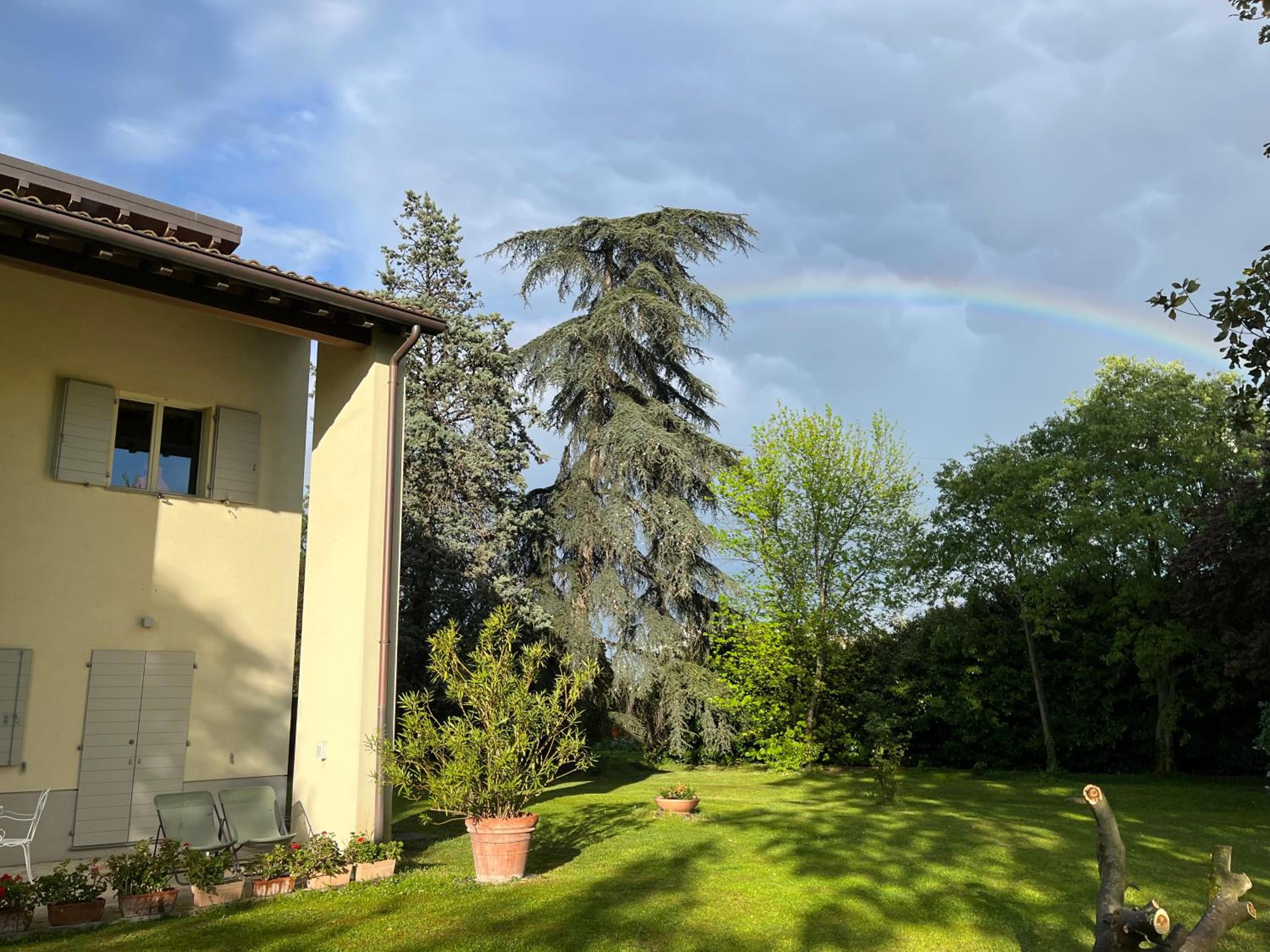Acero Giallo en Parma