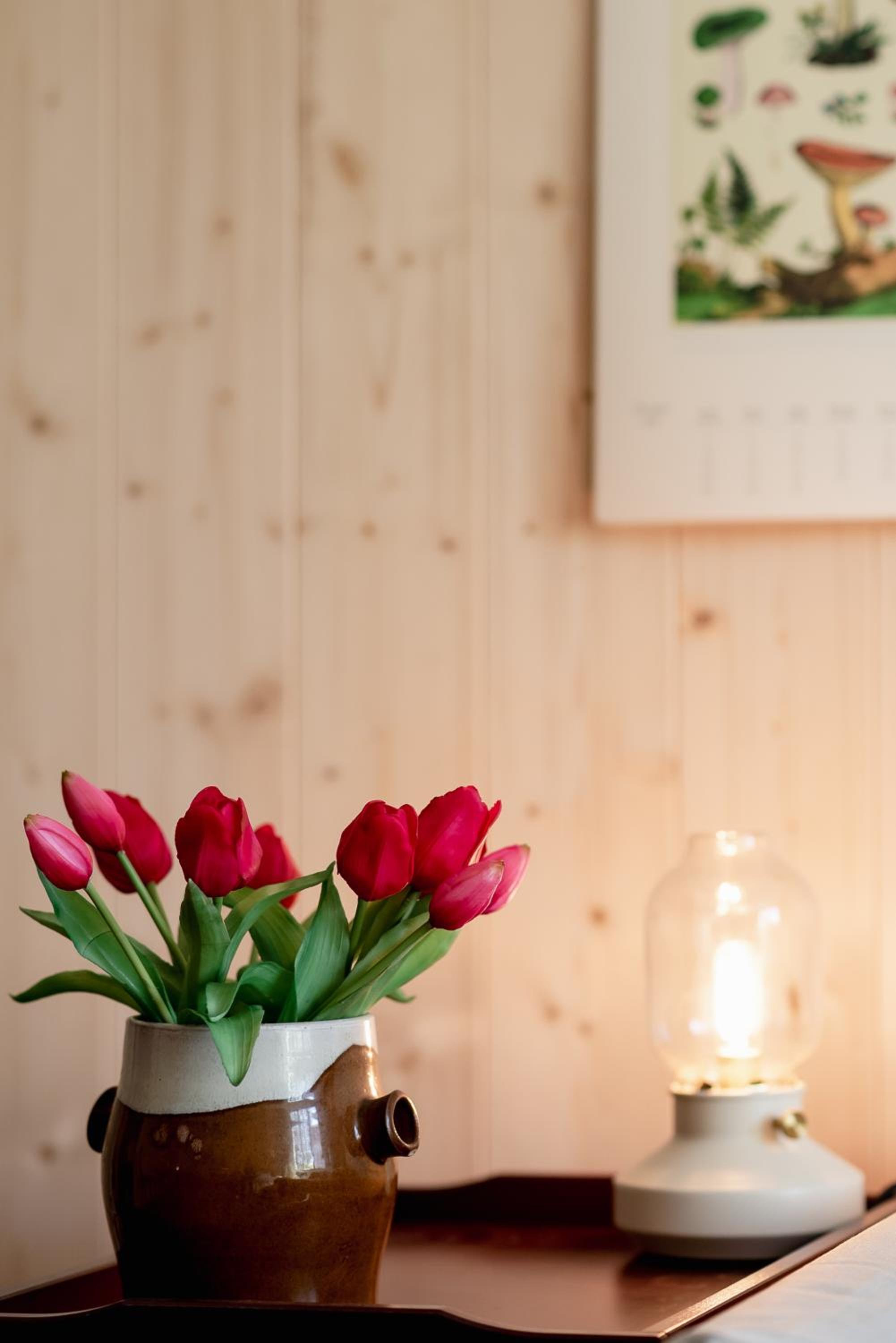 Bodensee Apartments, Sauna, Lake Walks, Free Parking, Self Checkin, Nature Reserve, Restaurants Nearby
