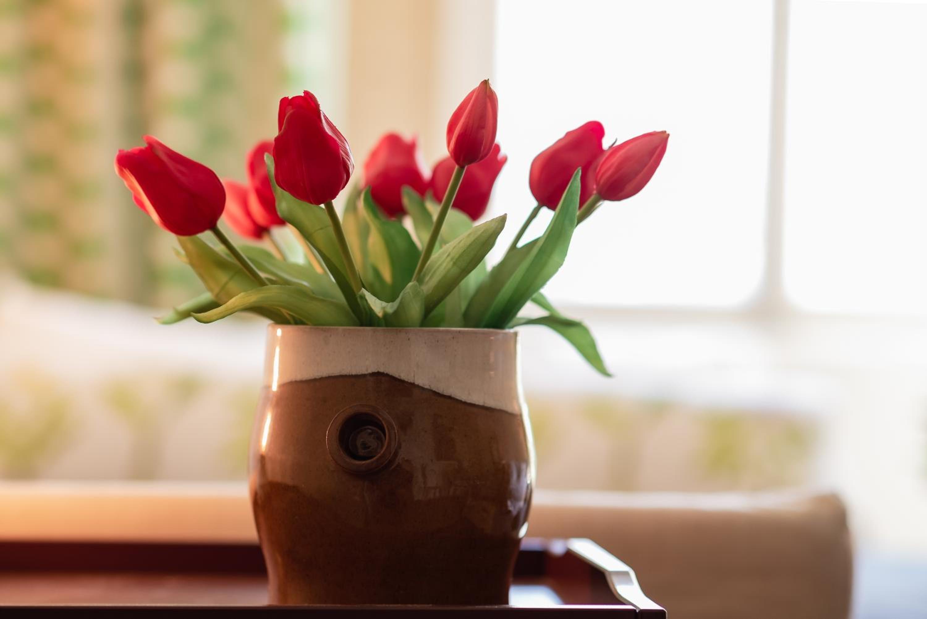 Bodensee Apartments, Sauna, Lake Walks, Free Parking, Self Checkin, Nature Reserve, Restaurants Nearby