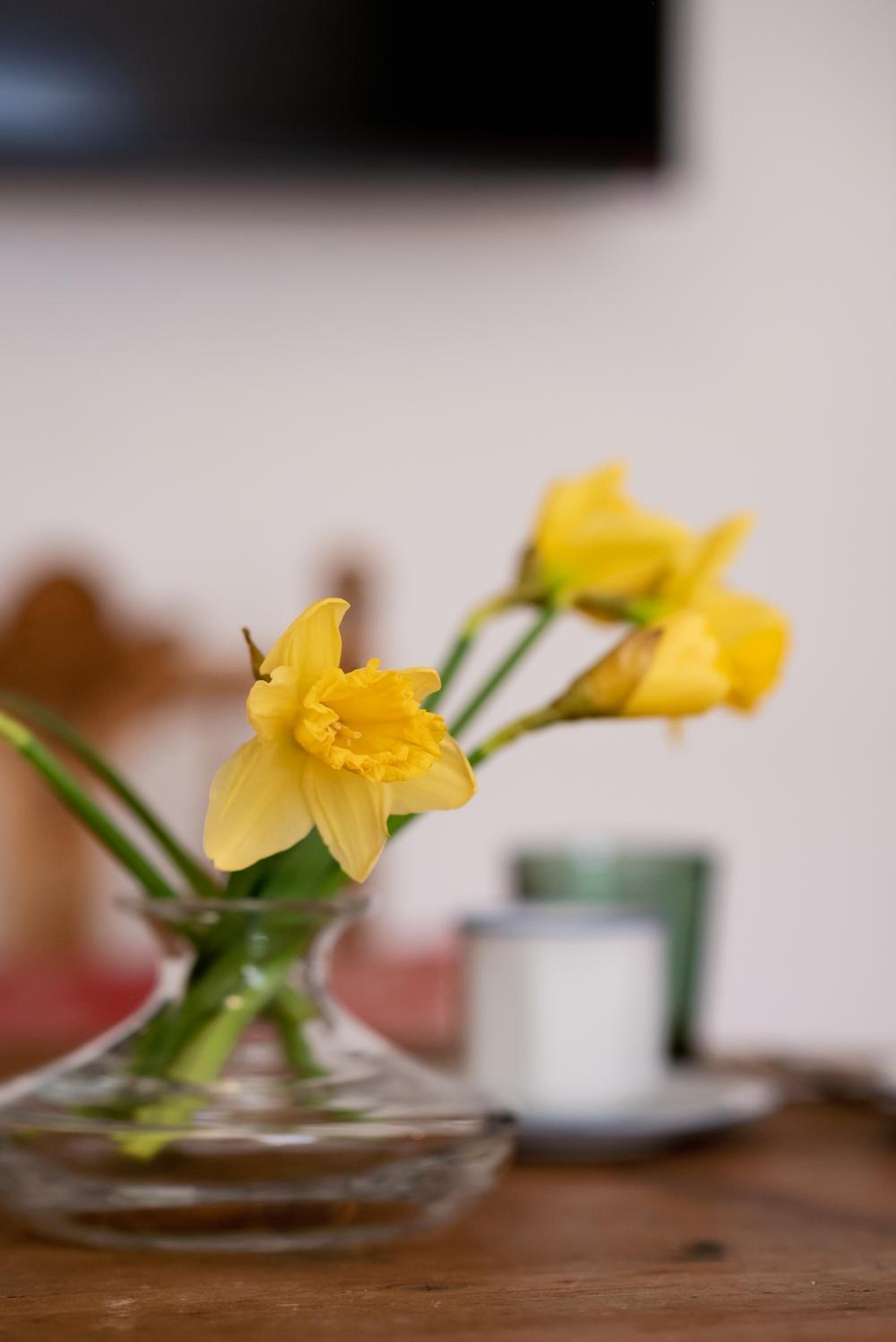 Bodensee Apartments, Sauna, Lake Walks, Free Parking, Self Checkin, Nature Reserve, Restaurants Nearby