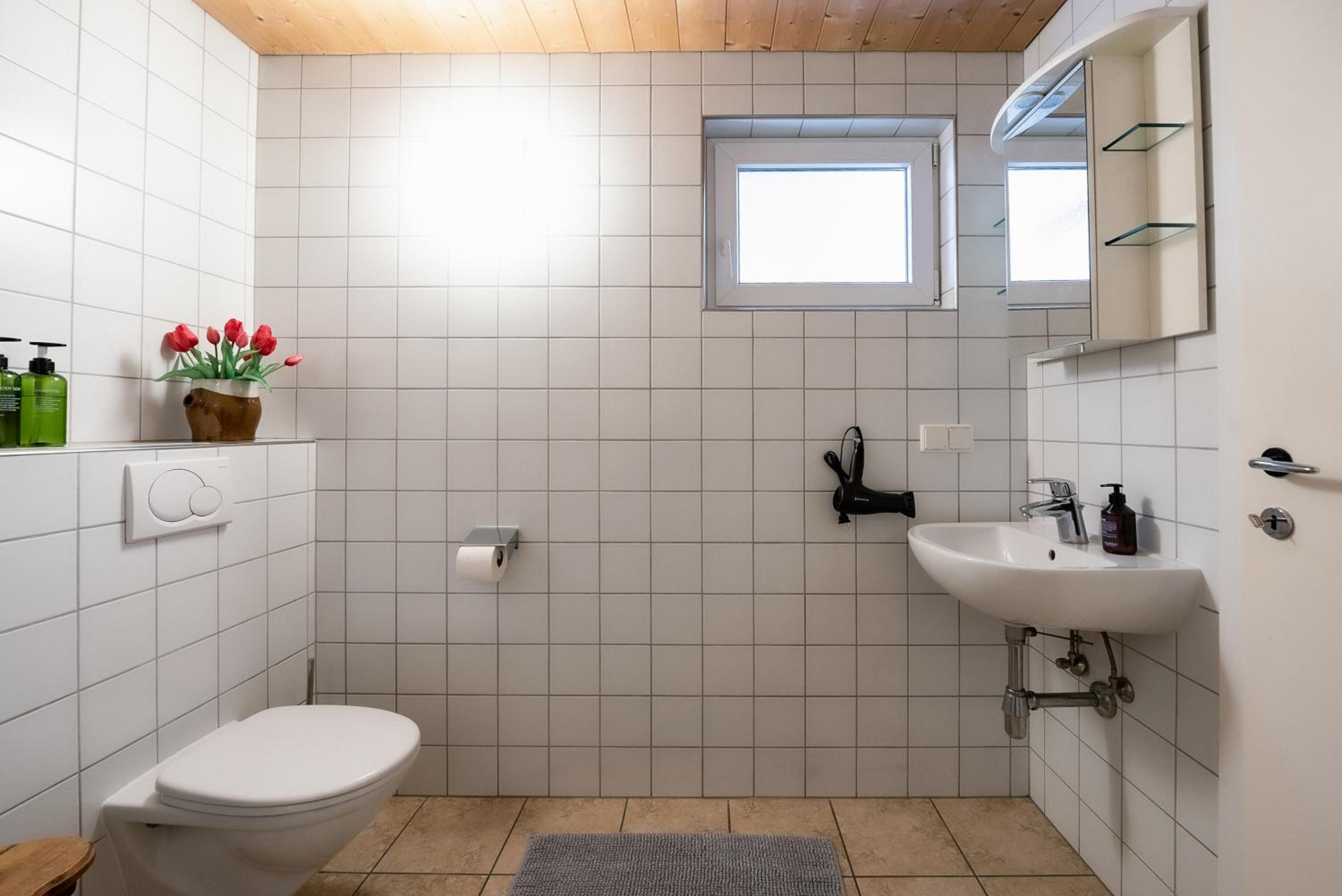 Bodensee Apartments, Sauna, Lake Walks, Free Parking, Self Checkin, Nature Reserve, Restaurants Nearby