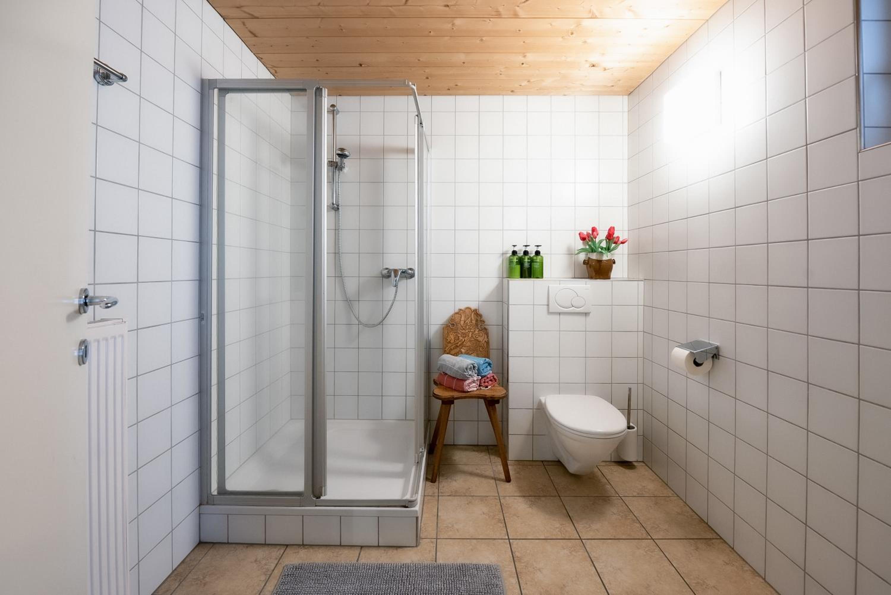 Bodensee Apartments, Sauna, Lake Walks, Free Parking, Self Checkin, Nature Reserve, Restaurants Nearby