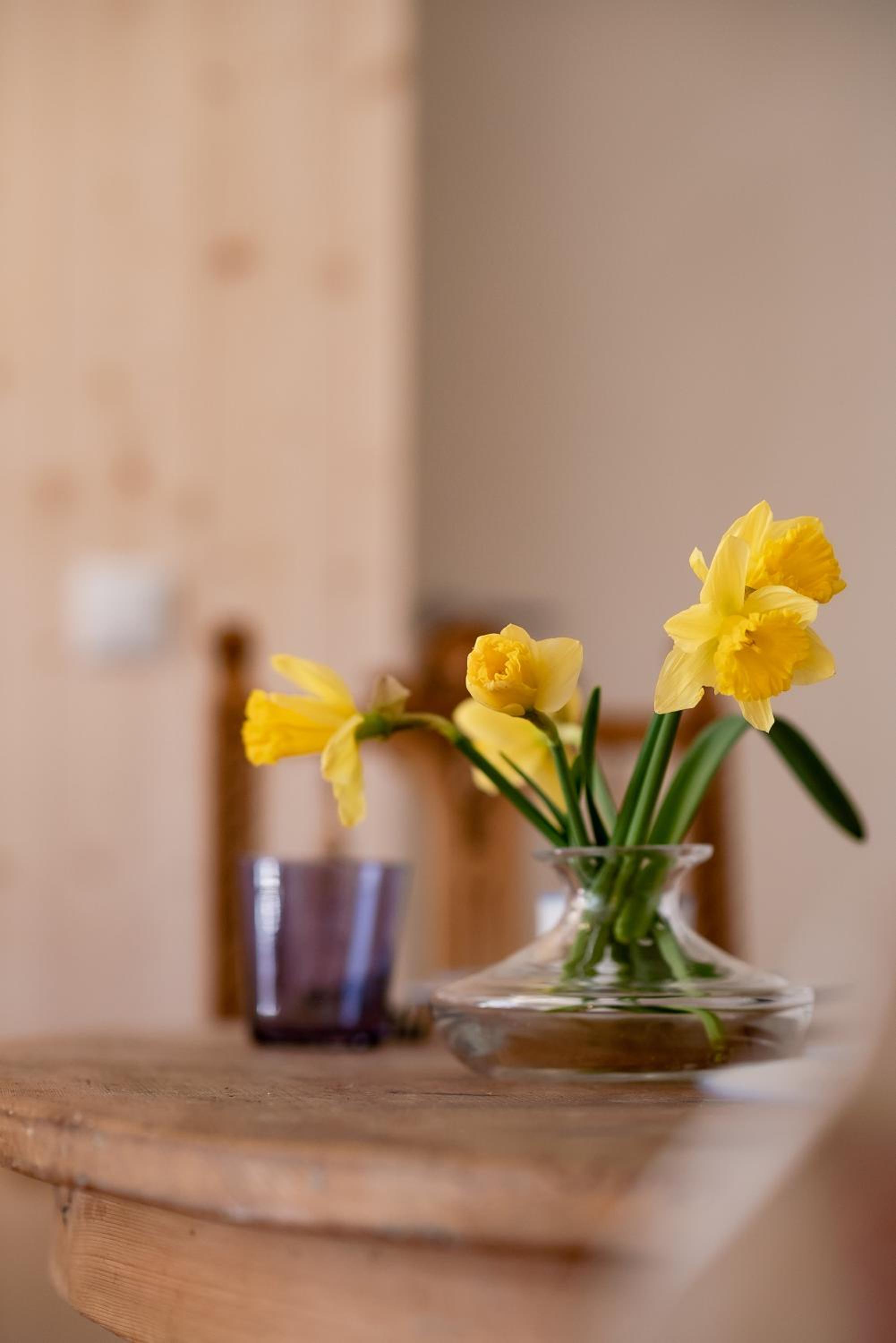 Bodensee Apartments, Sauna, Lake Walks, Free Parking, Self Checkin, Nature Reserve, Restaurants Nearby