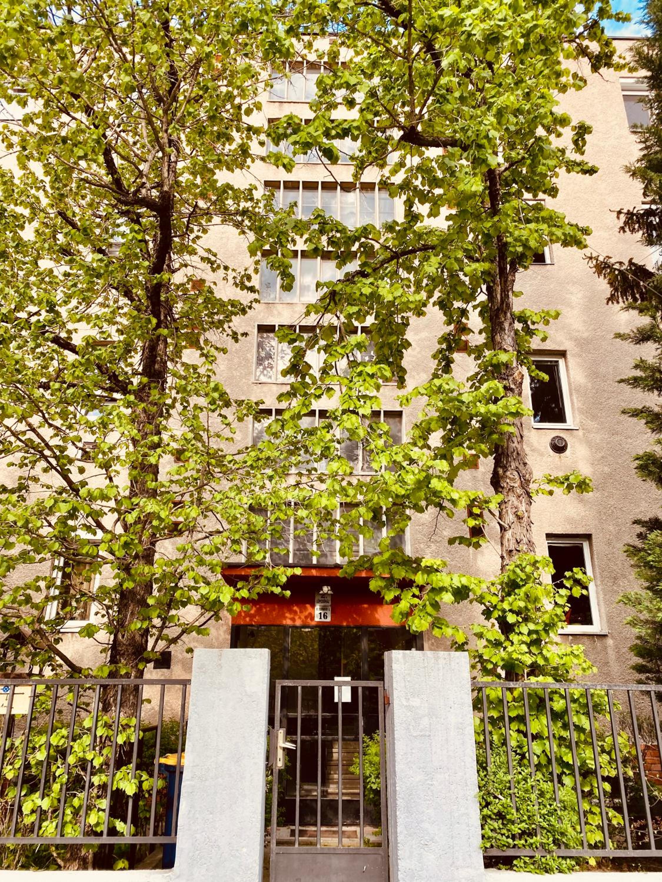 Photo 13