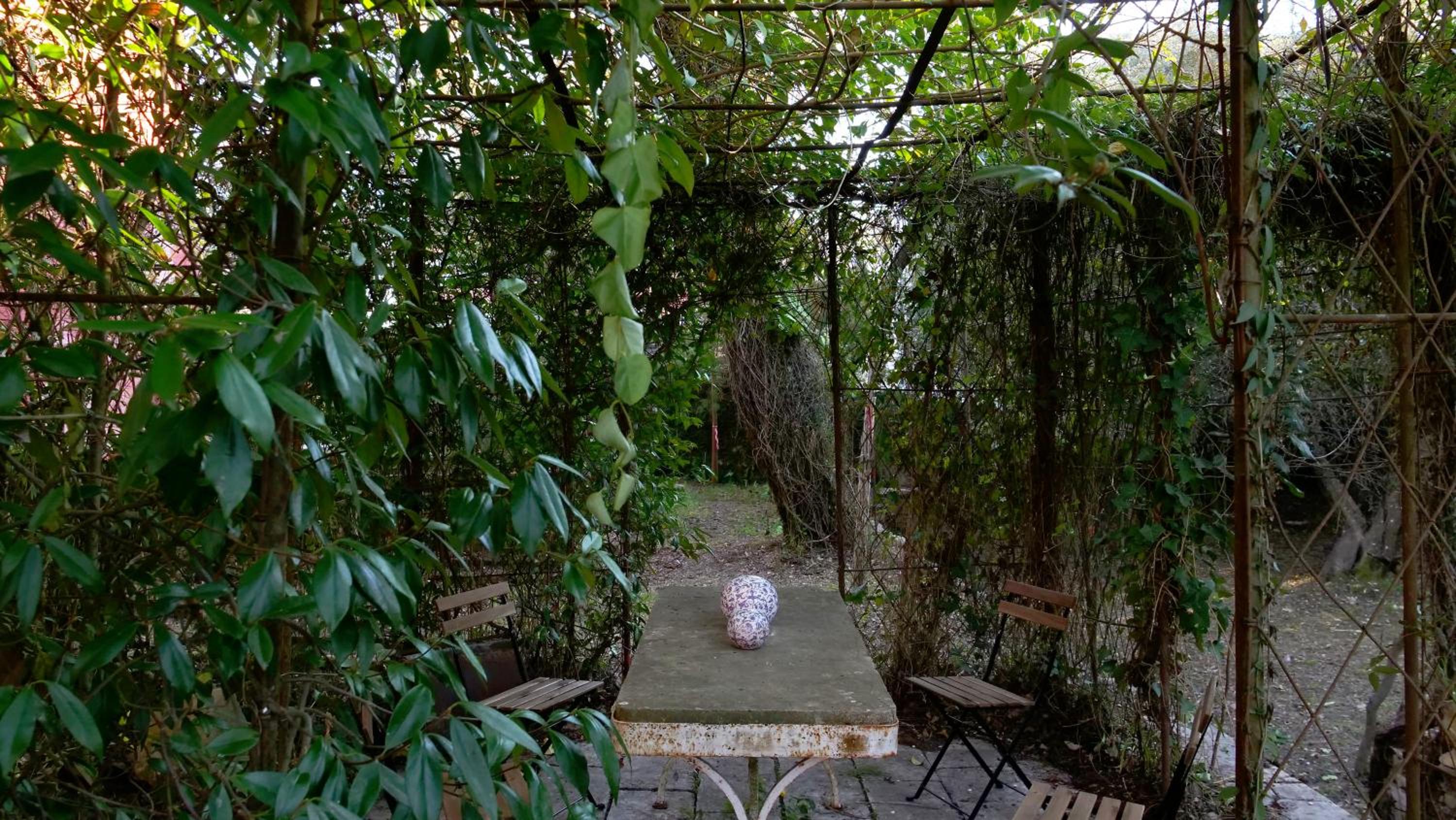 Photo 142