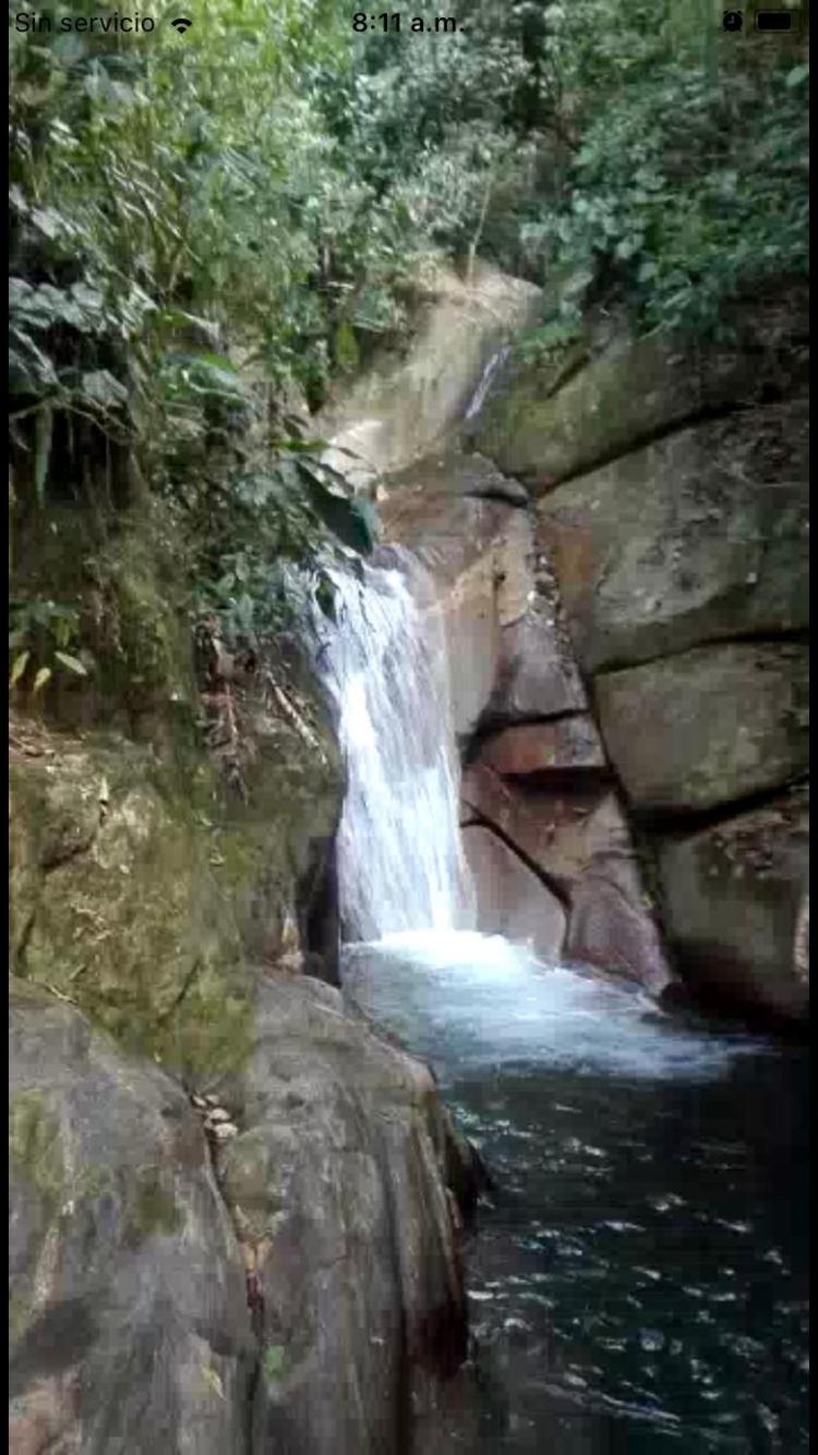 Miradores Del Oso Perezoso