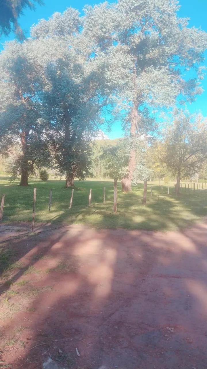 Las Marukas