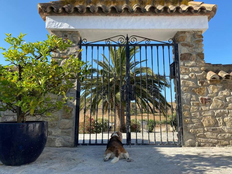 Cortijo Almarchal