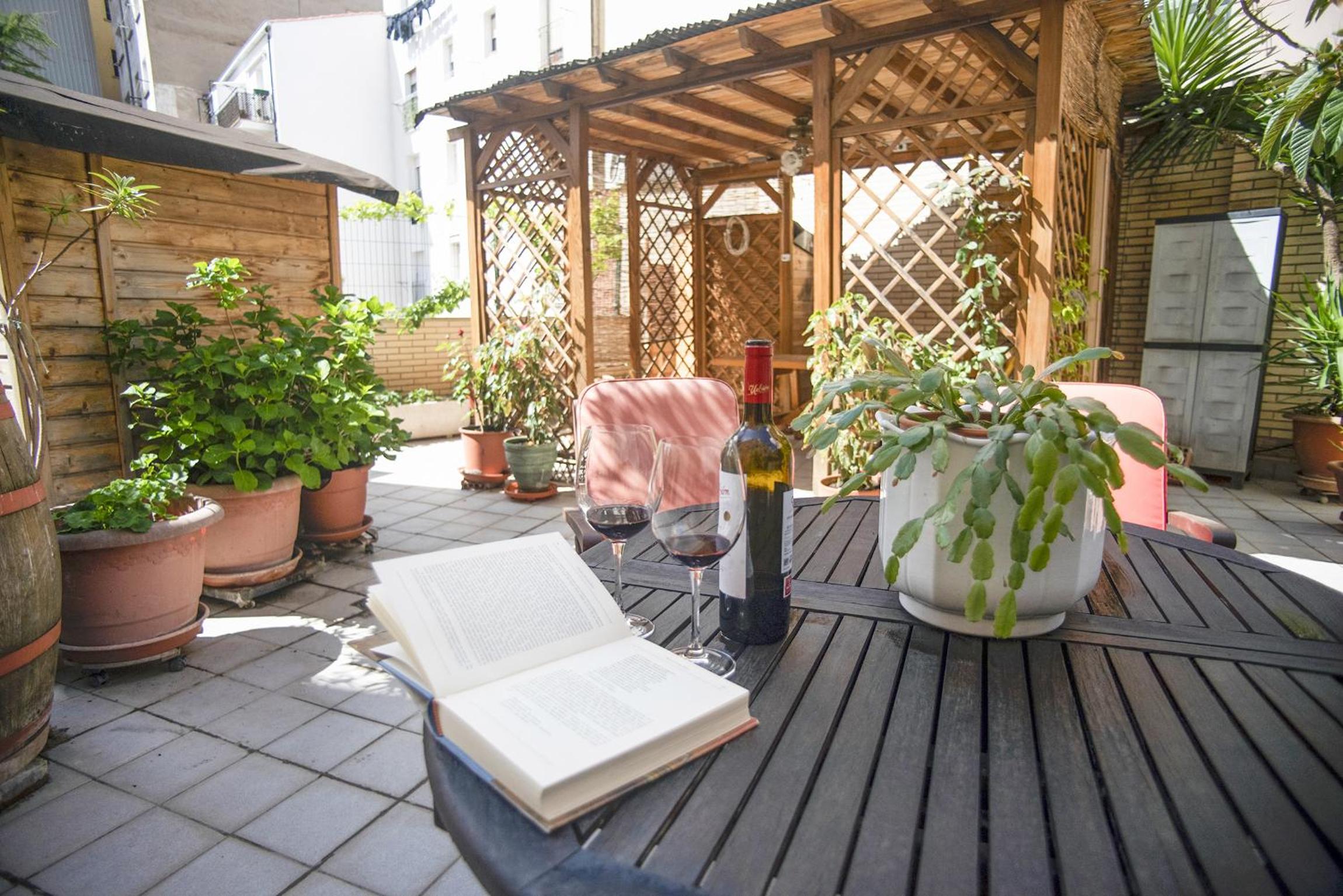 UN JARDIN EN LA CIUDAD gran piso y super terraza en el centro By Apartamentos con aire acondicionado Logroño view 3