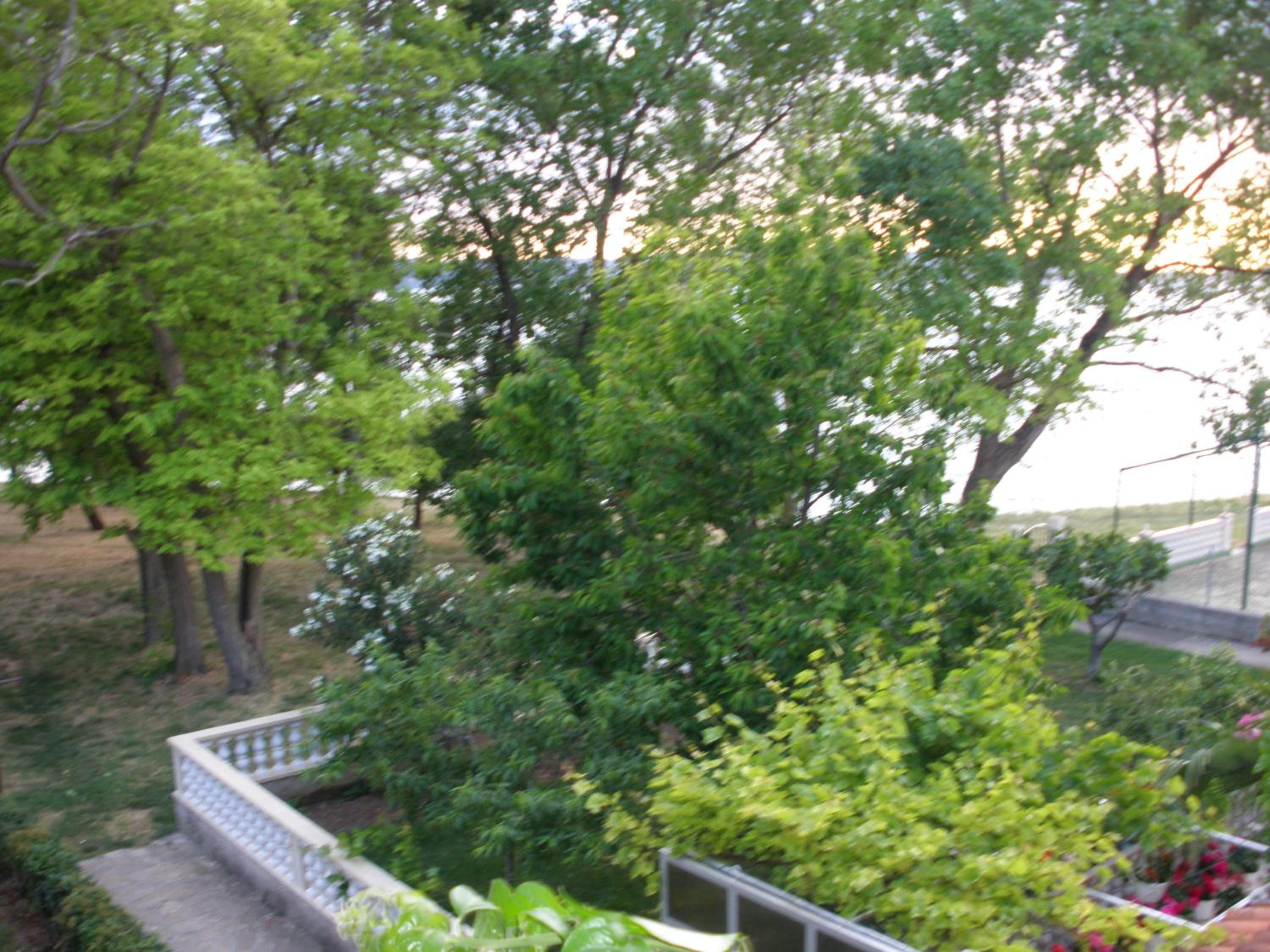 Photo 62