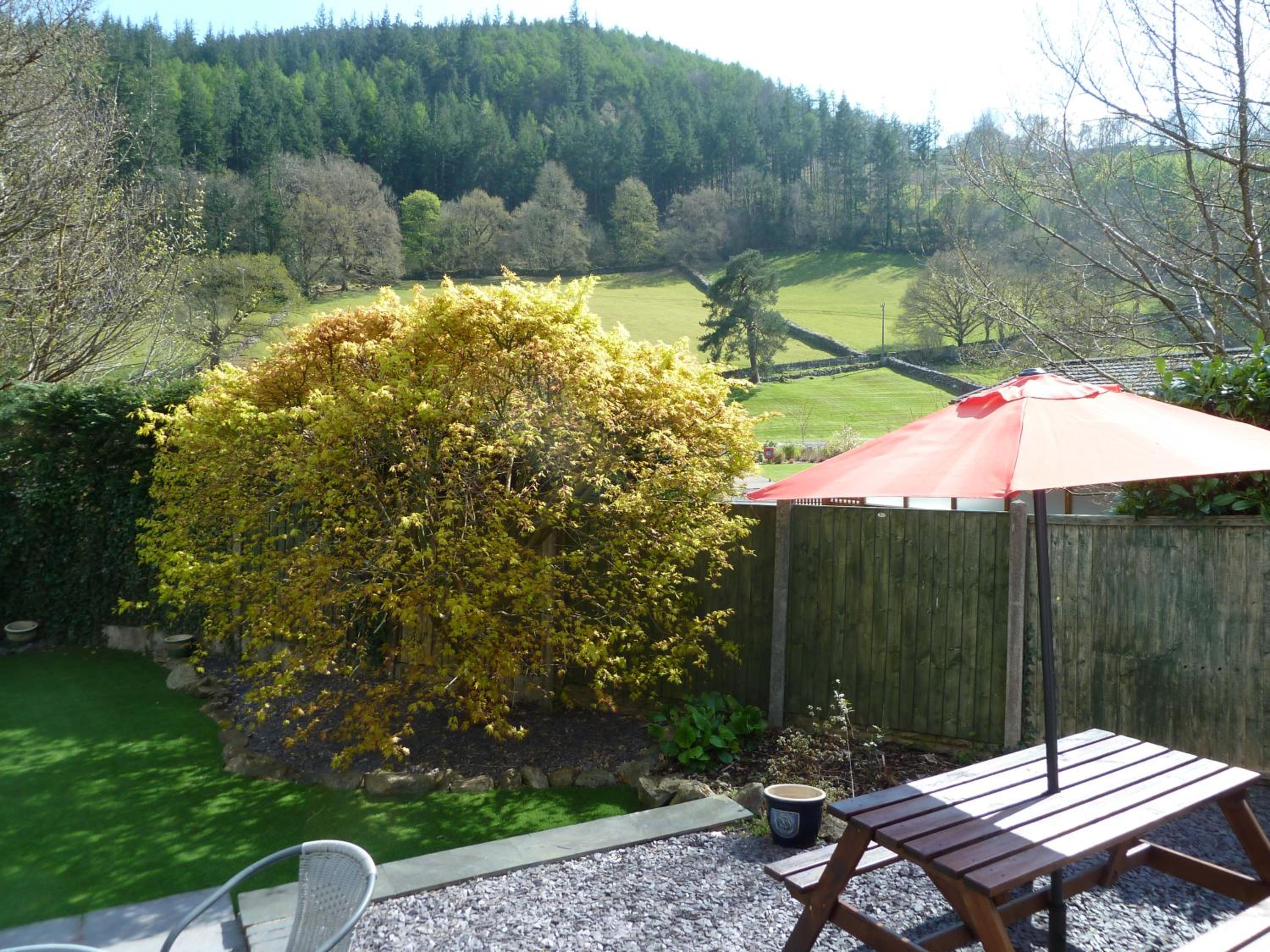 Hendre Wen luxury cottage in Betws y Coed view 2