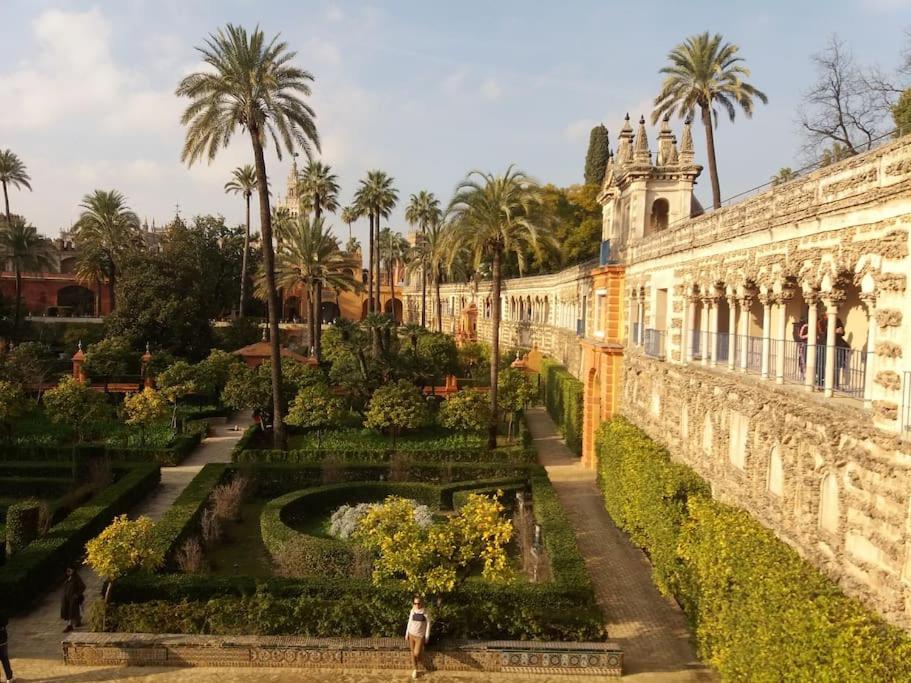 Star's House Sevilla.Con piscina,10 min de Sevilla view 4