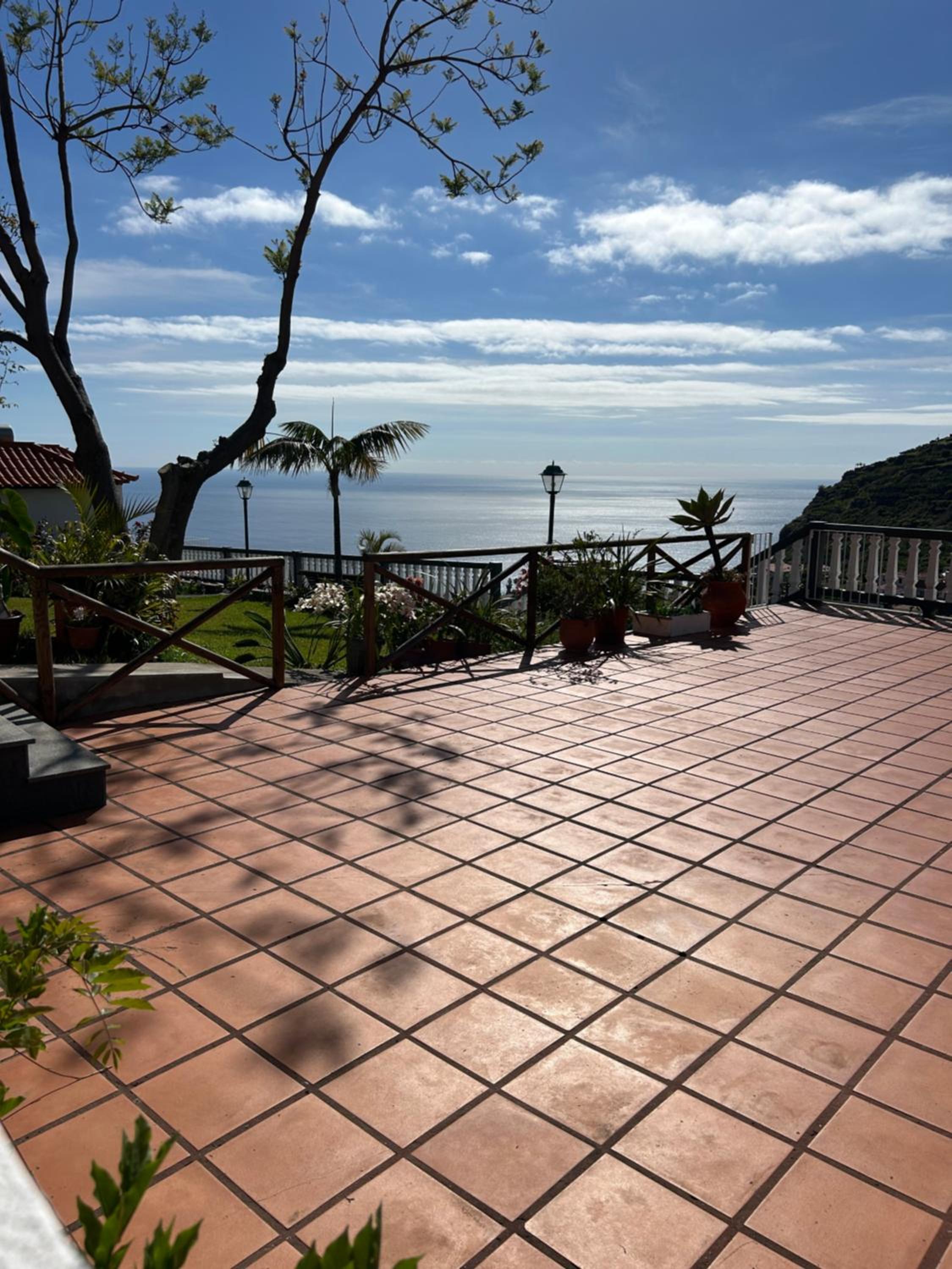 Tropical Garden