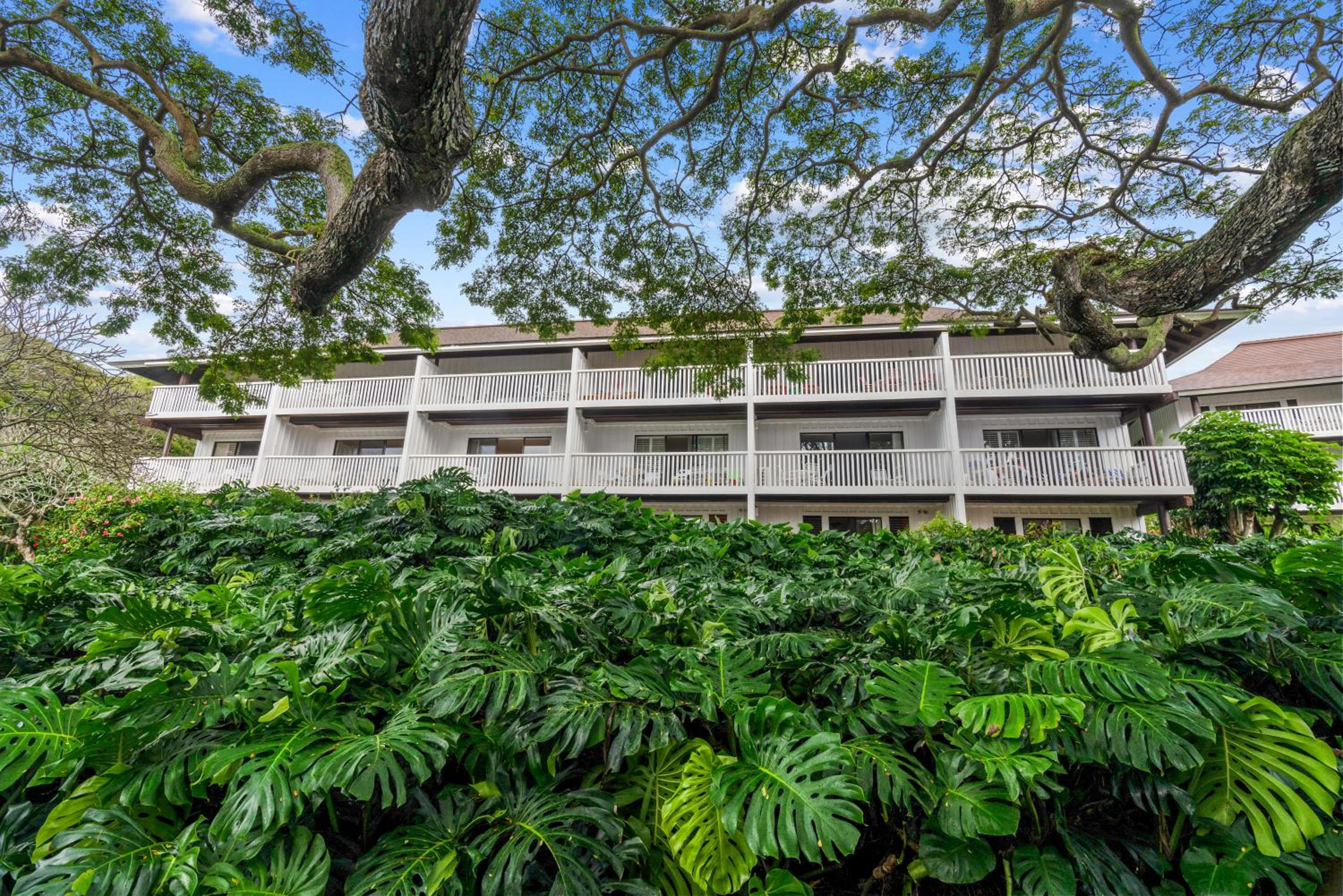 Step to beach New Quiet Kiahuna Plantation Remodeled 2 bedroom condo with AC view 5