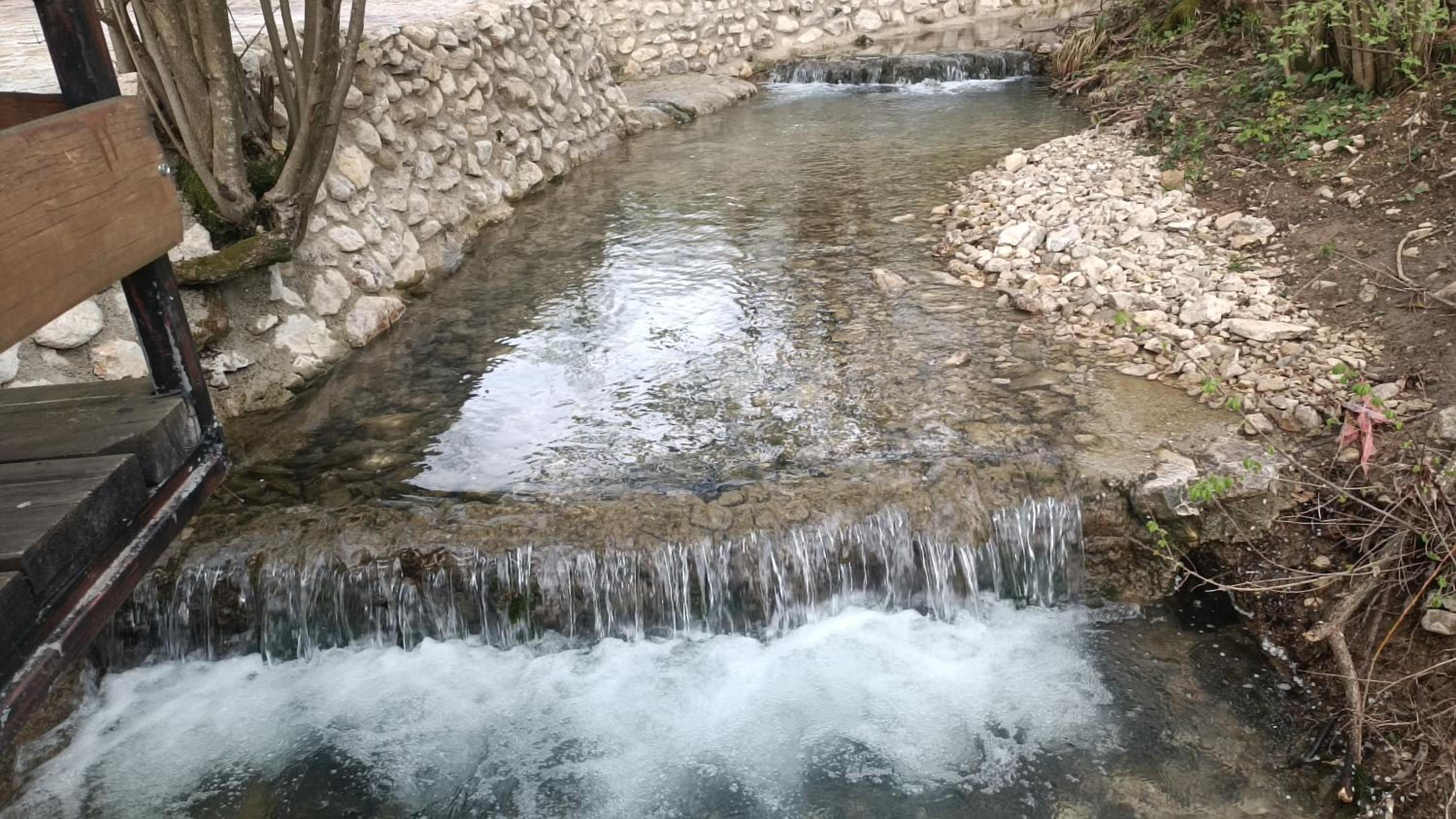 Live Nature