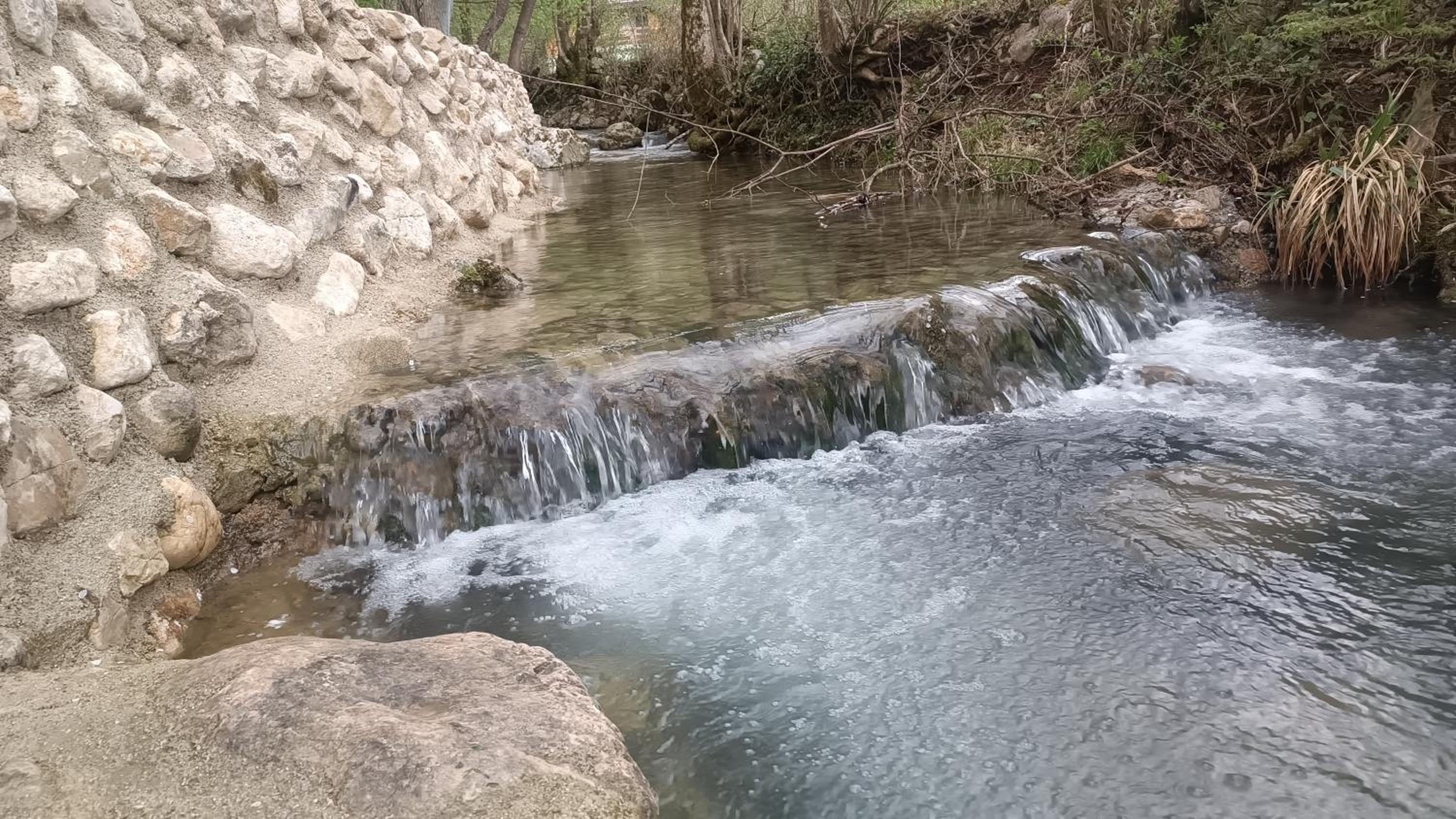 Live Nature