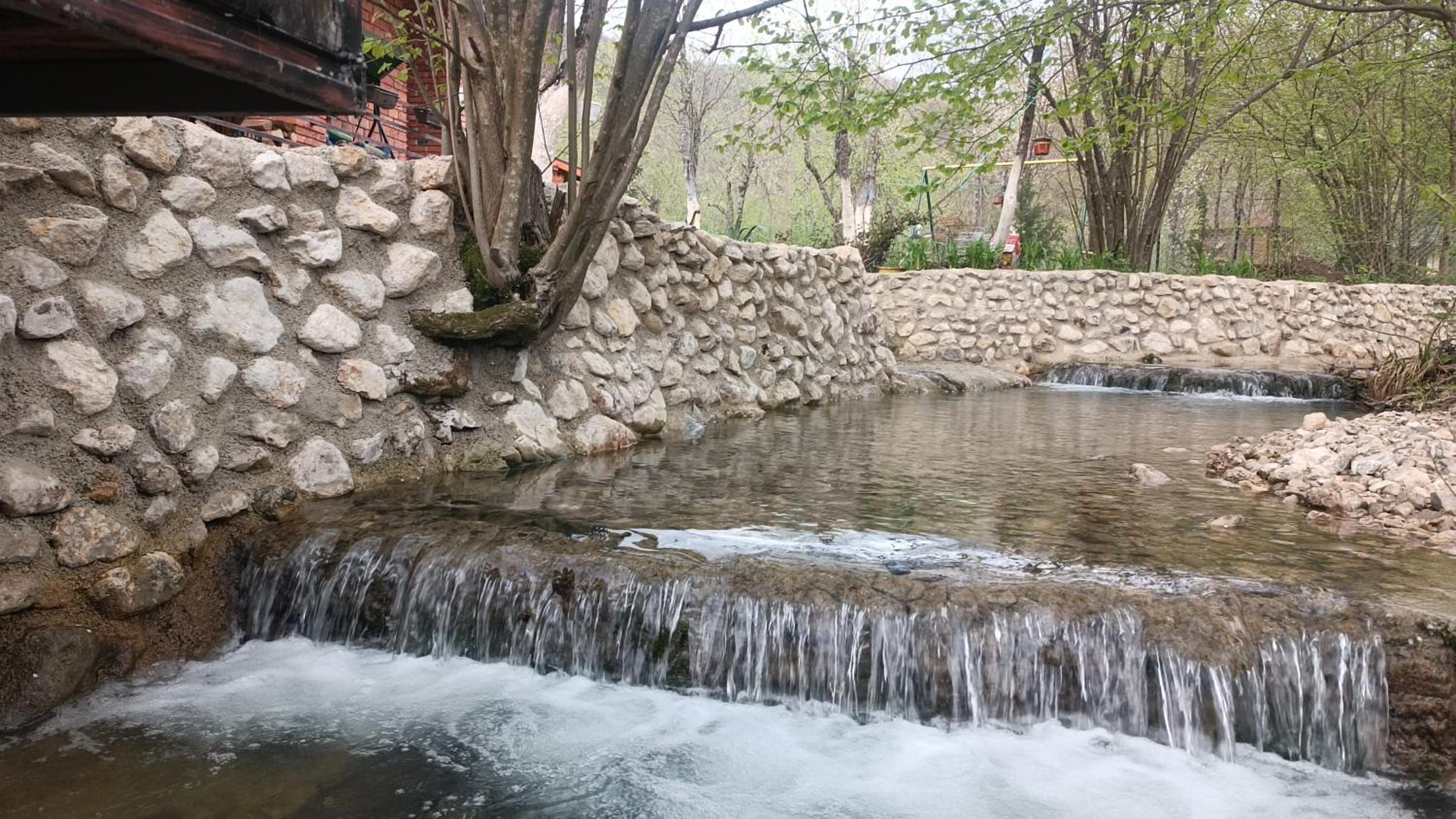 Live Nature