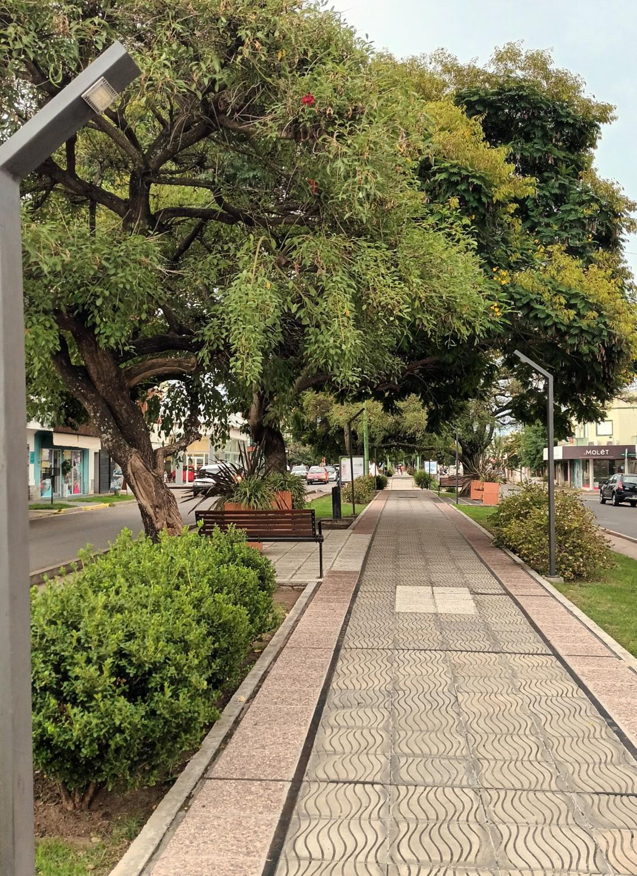 Mi Espacio en Gualeguaychú