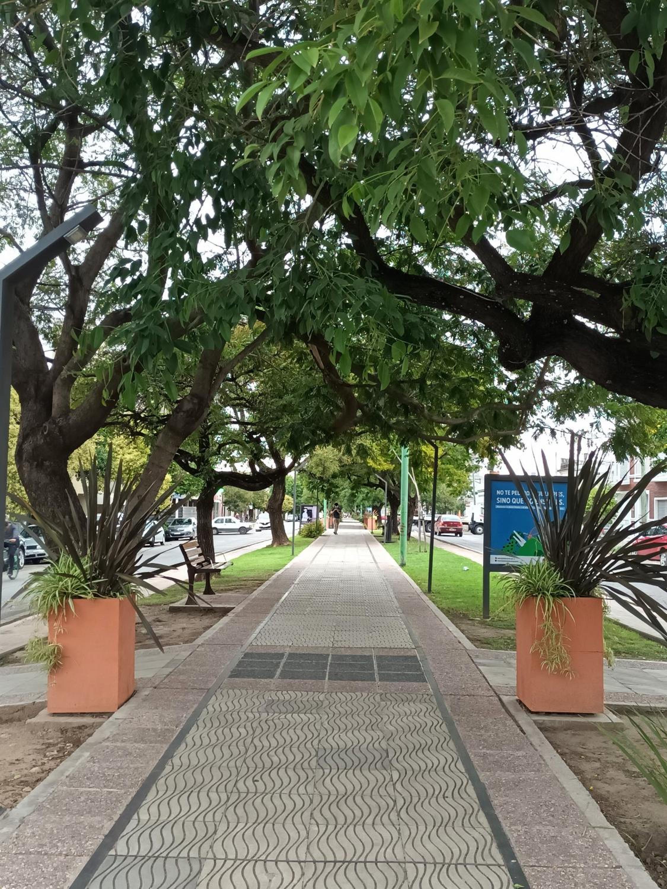 Mi Espacio en Gualeguaychú