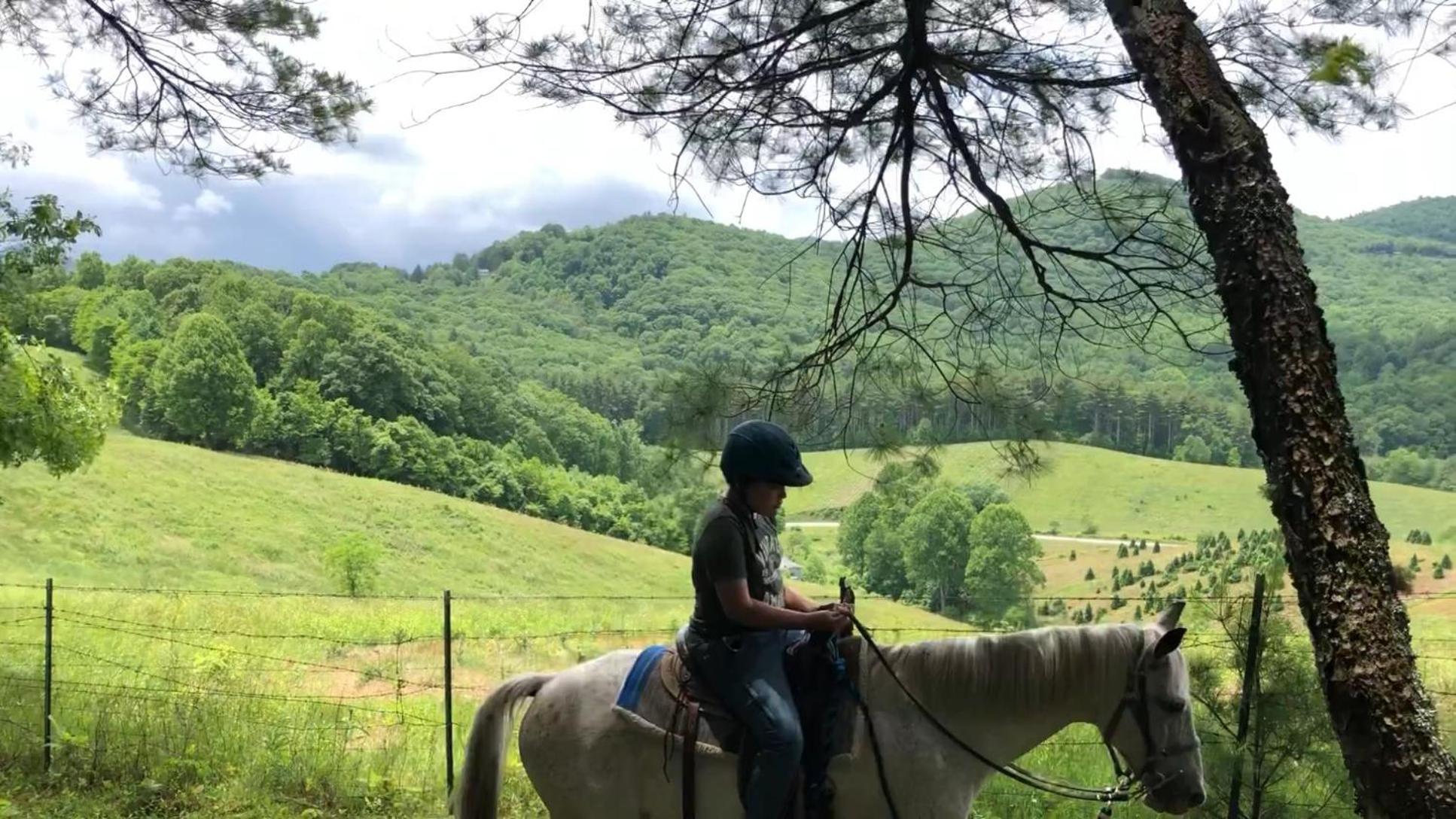 Arrowmont Stables & Cabins