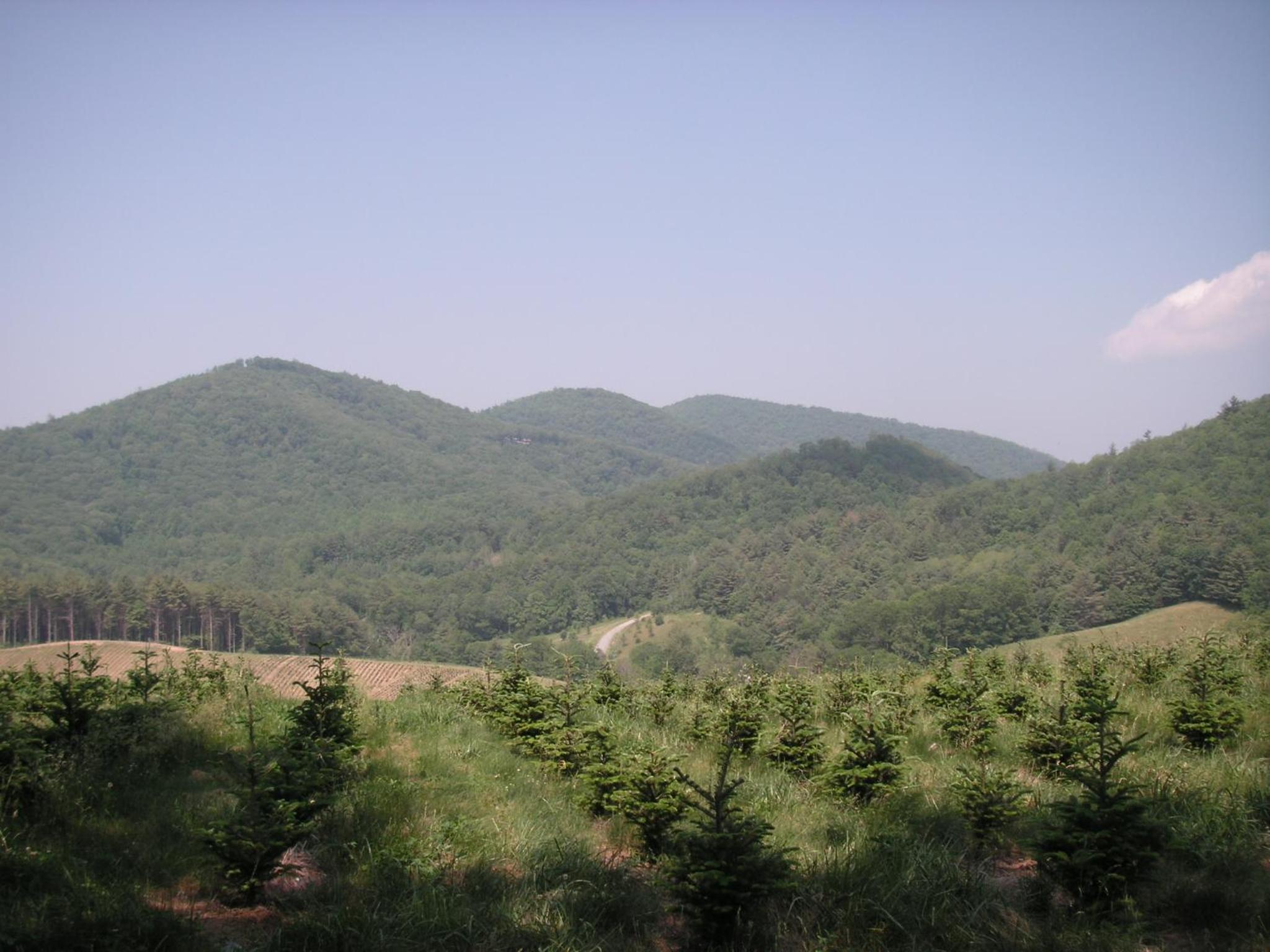 Arrowmont Stables & Cabins